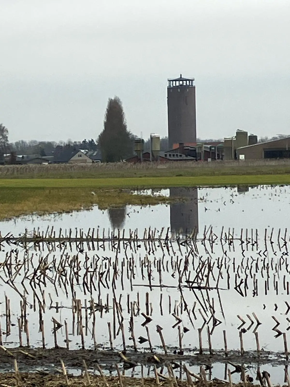 Wandeling afbeelding