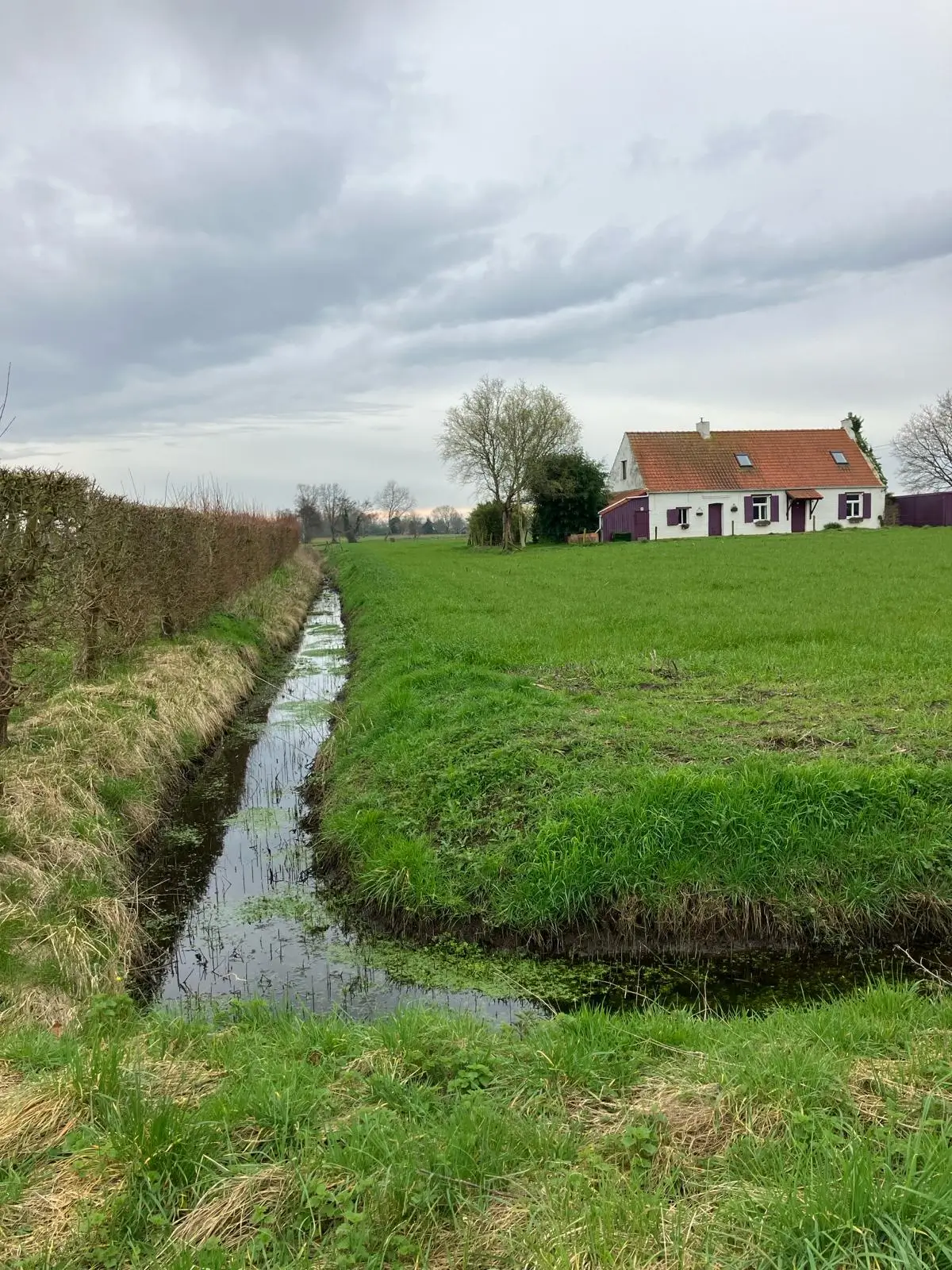 Wandeling afbeelding
