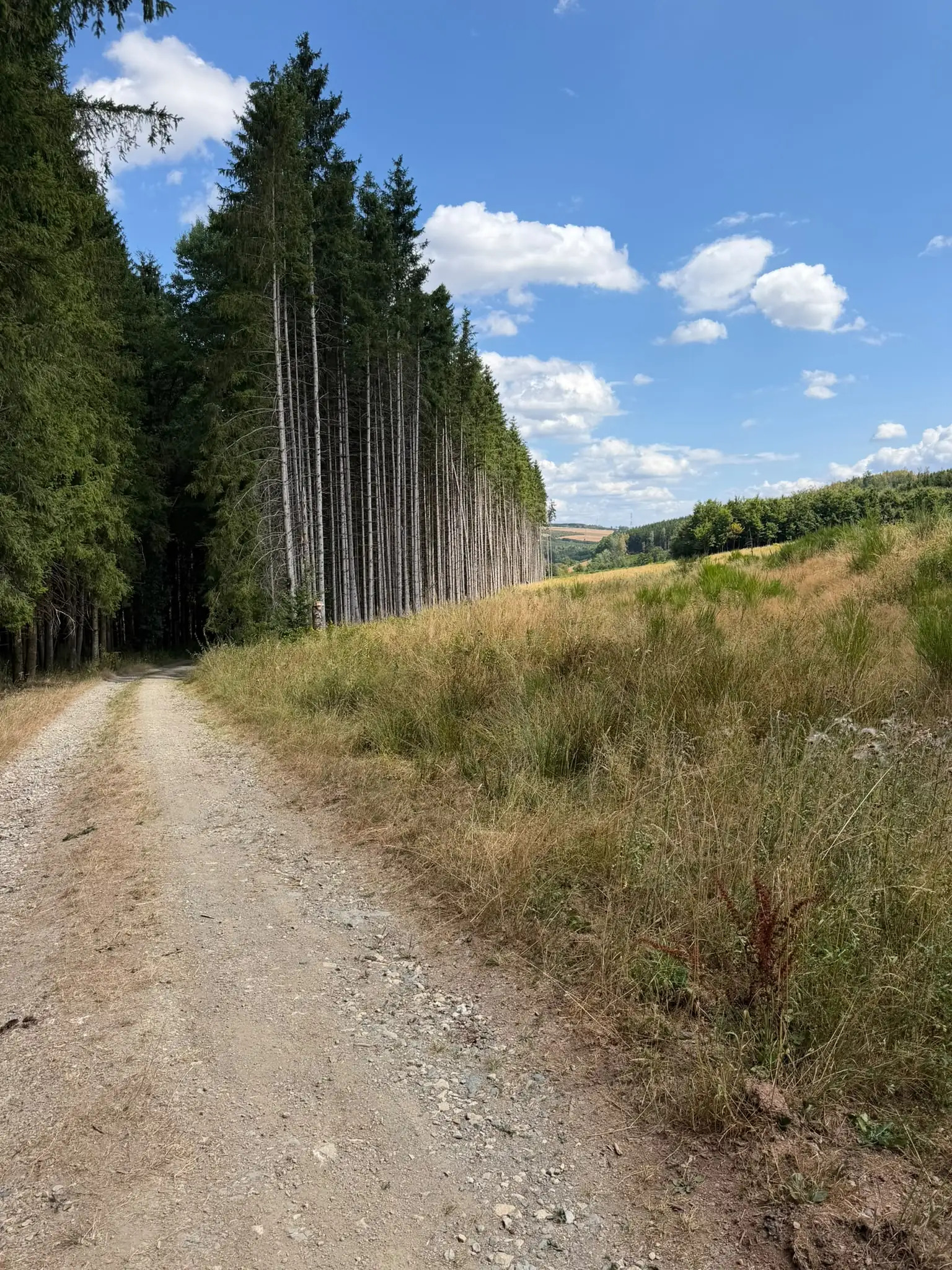 Wandeling afbeelding