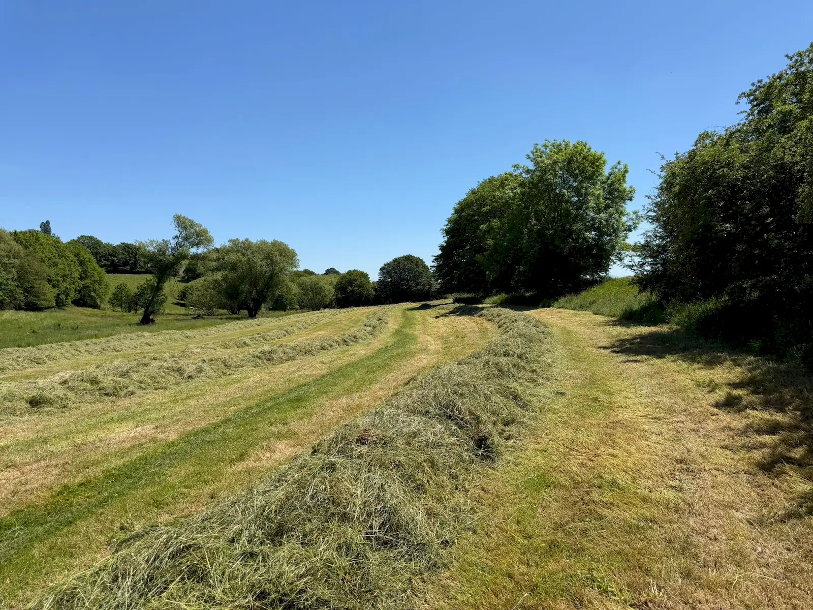 Wandeling afbeelding