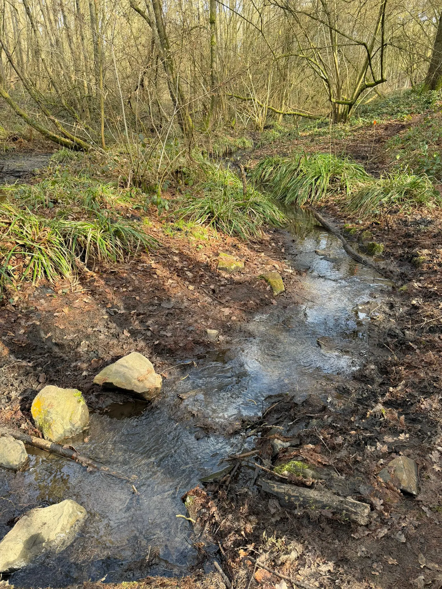 Wandeling afbeelding