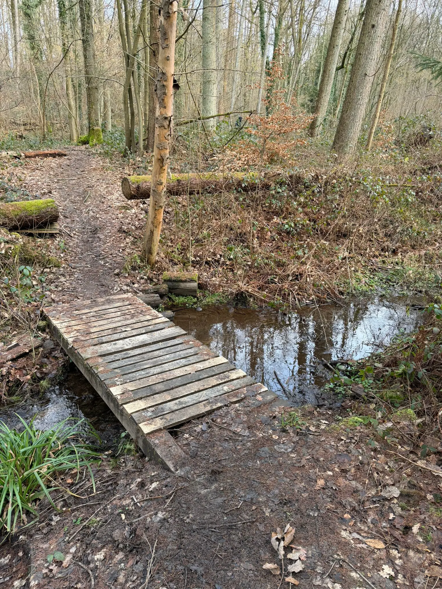 Wandeling afbeelding