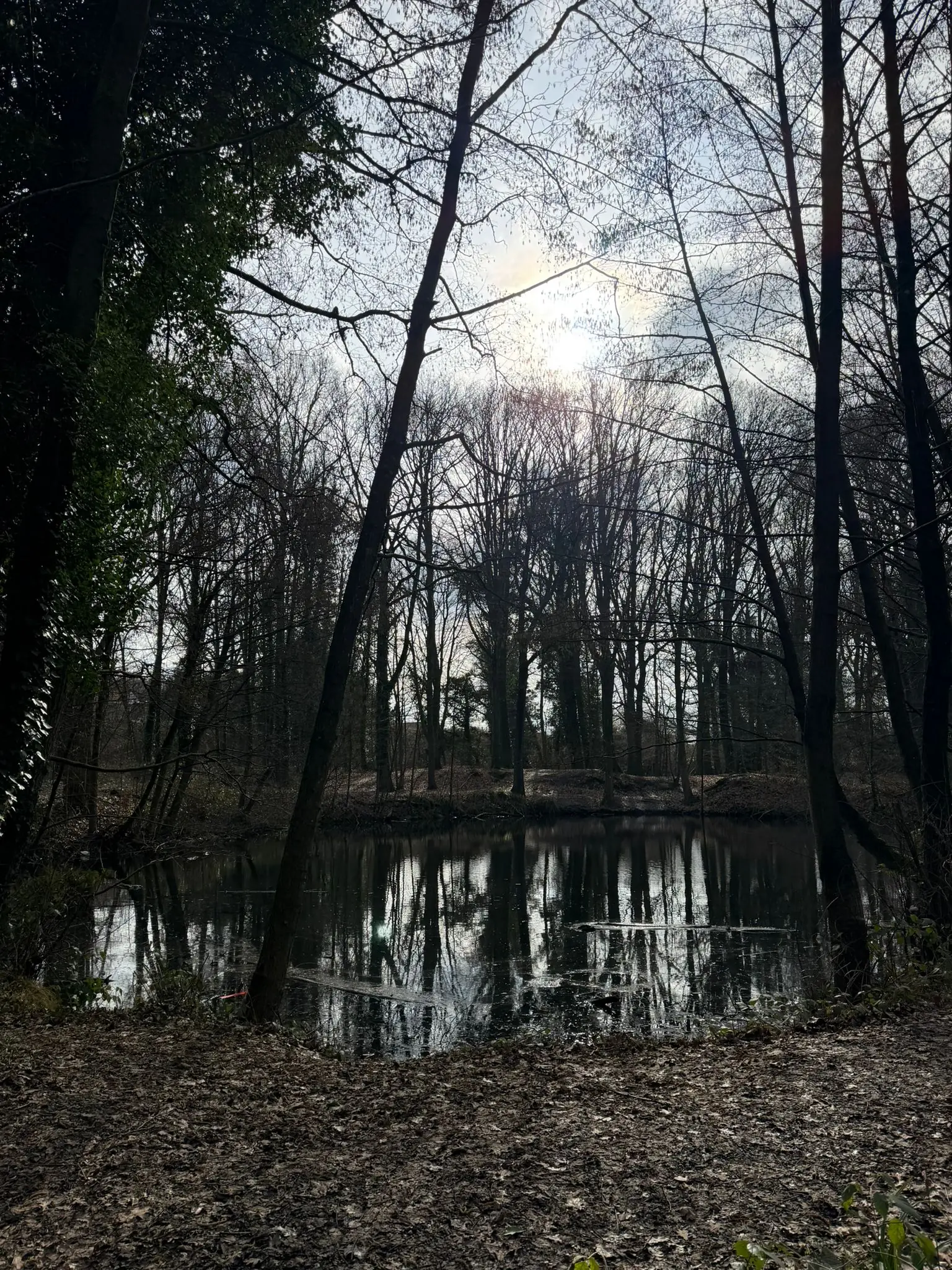 Wandeling afbeelding
