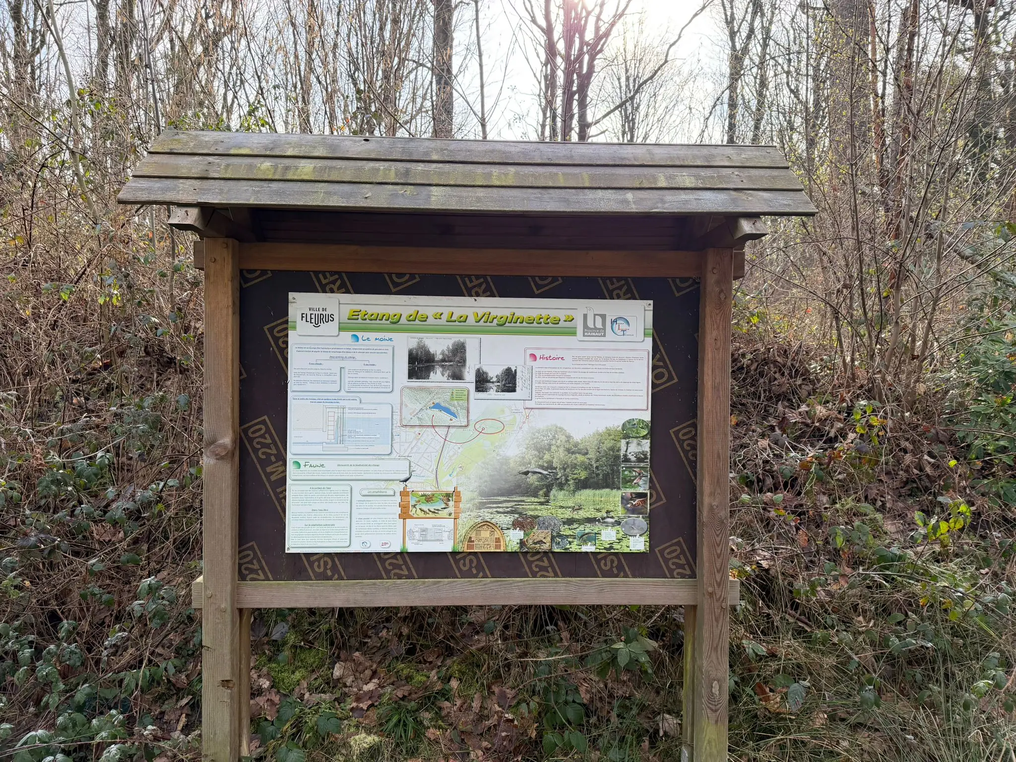 Wandeling afbeelding