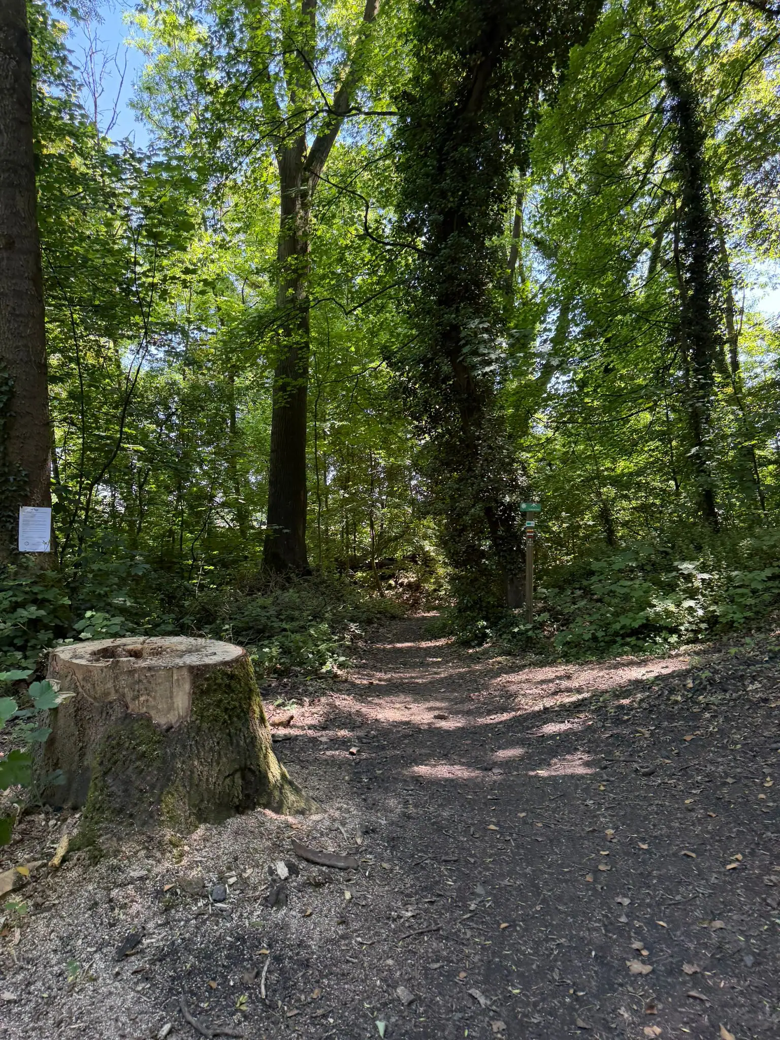 Wandeling afbeelding