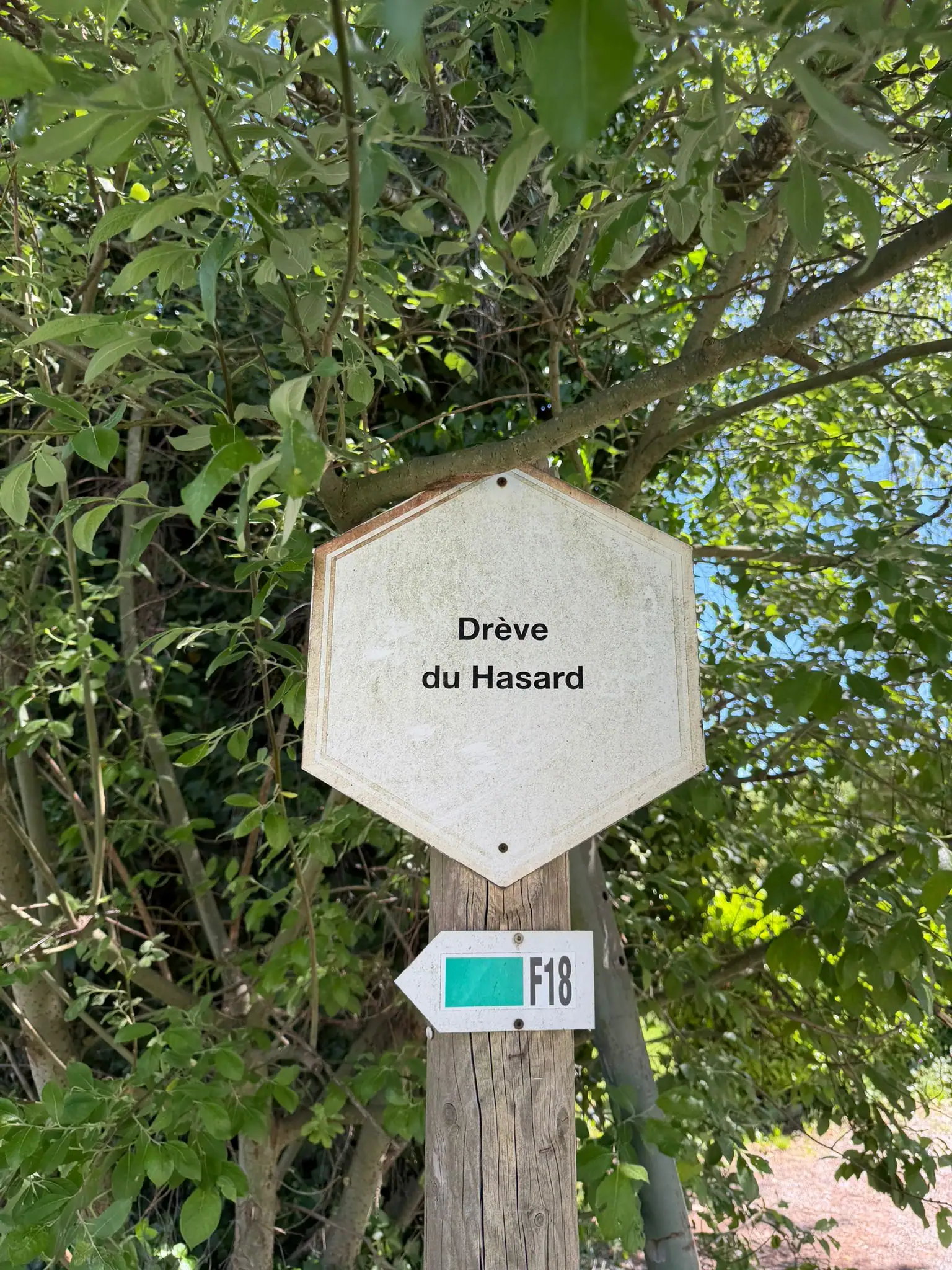 Wandeling afbeelding
