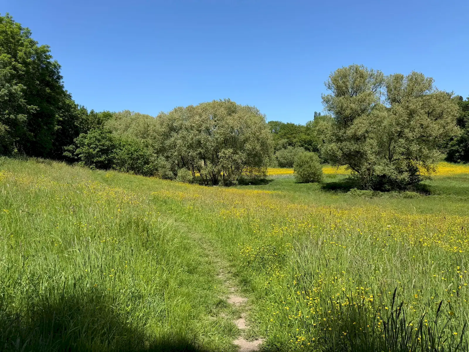 Wandeling afbeelding