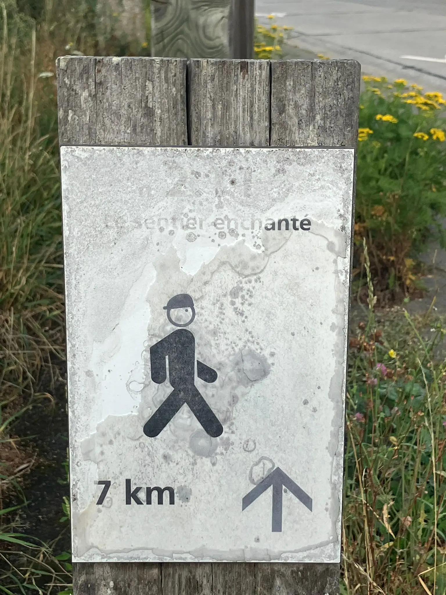 Wandeling afbeelding