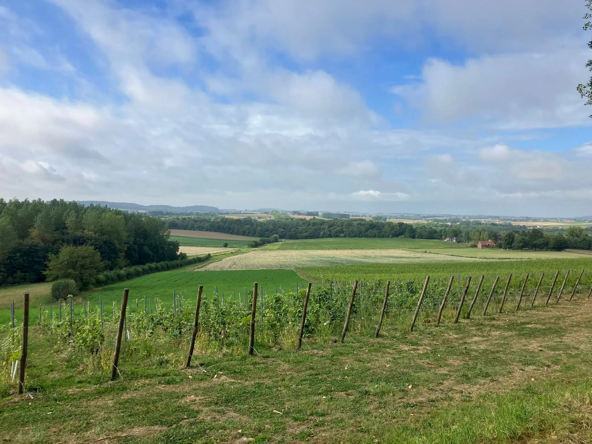 Wandeling afbeelding
