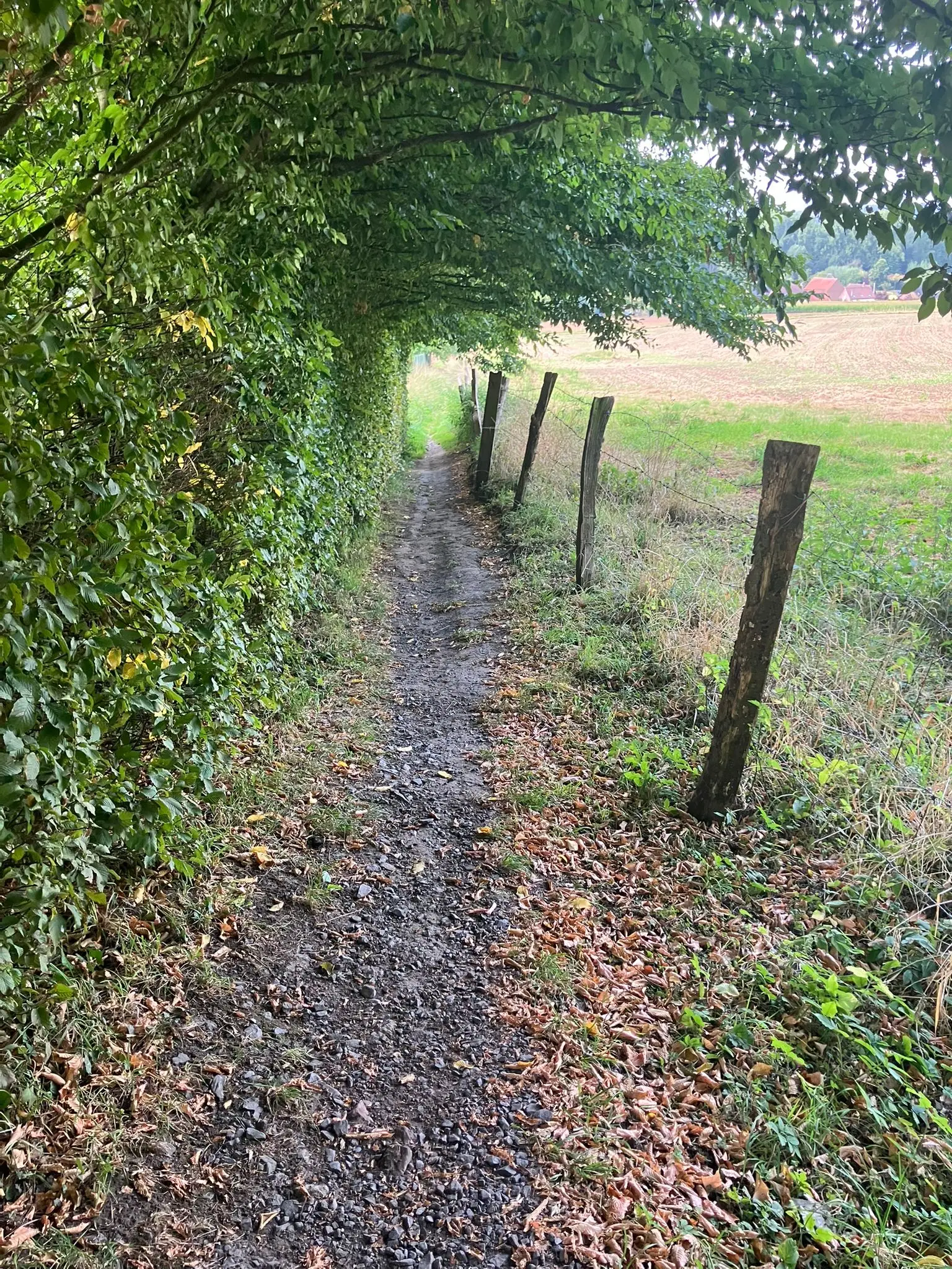 Wandeling afbeelding