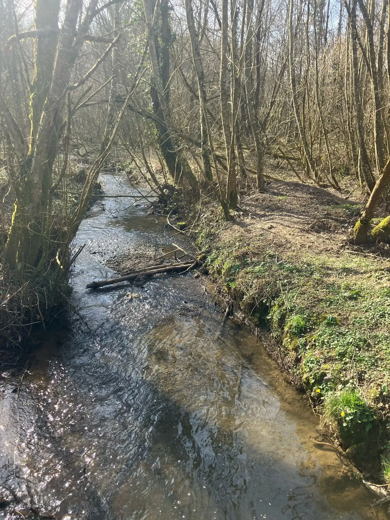 Wandeling afbeelding