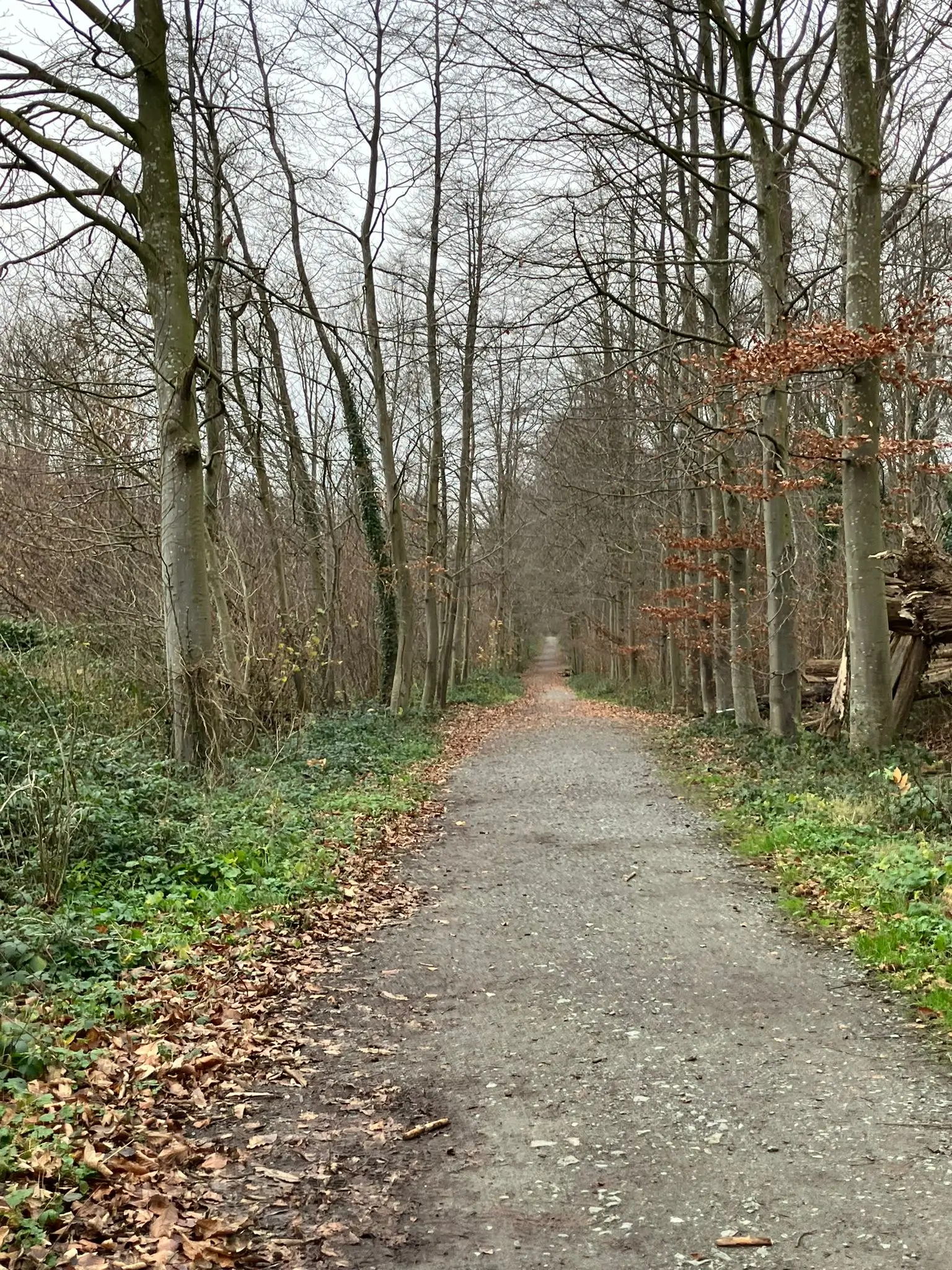 Wandeling afbeelding