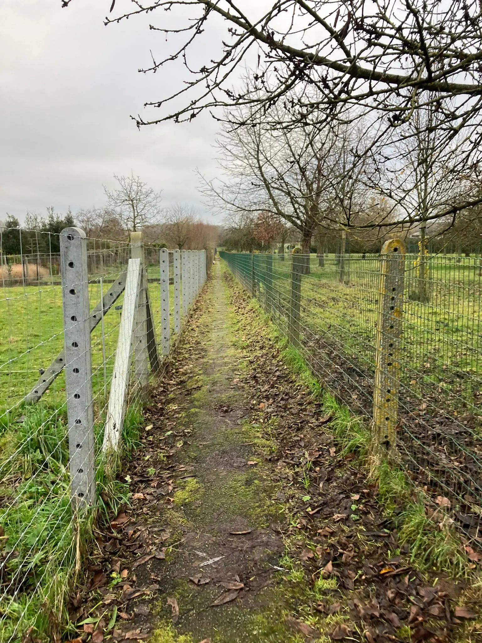 Wandeling afbeelding