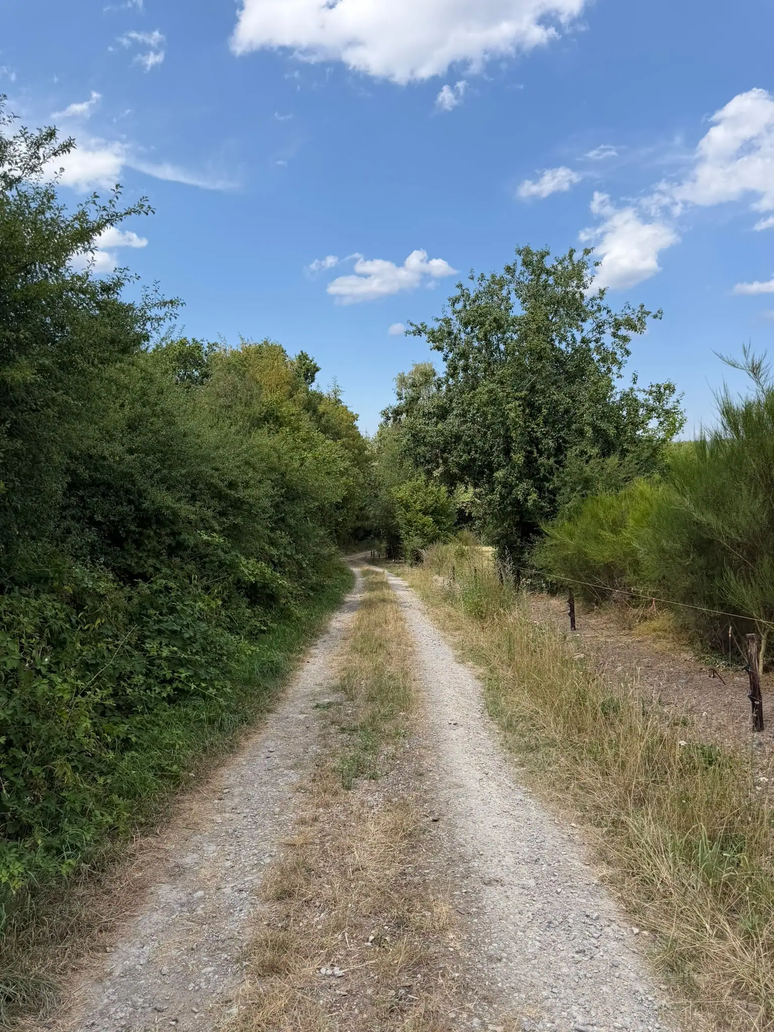 Wandeling afbeelding