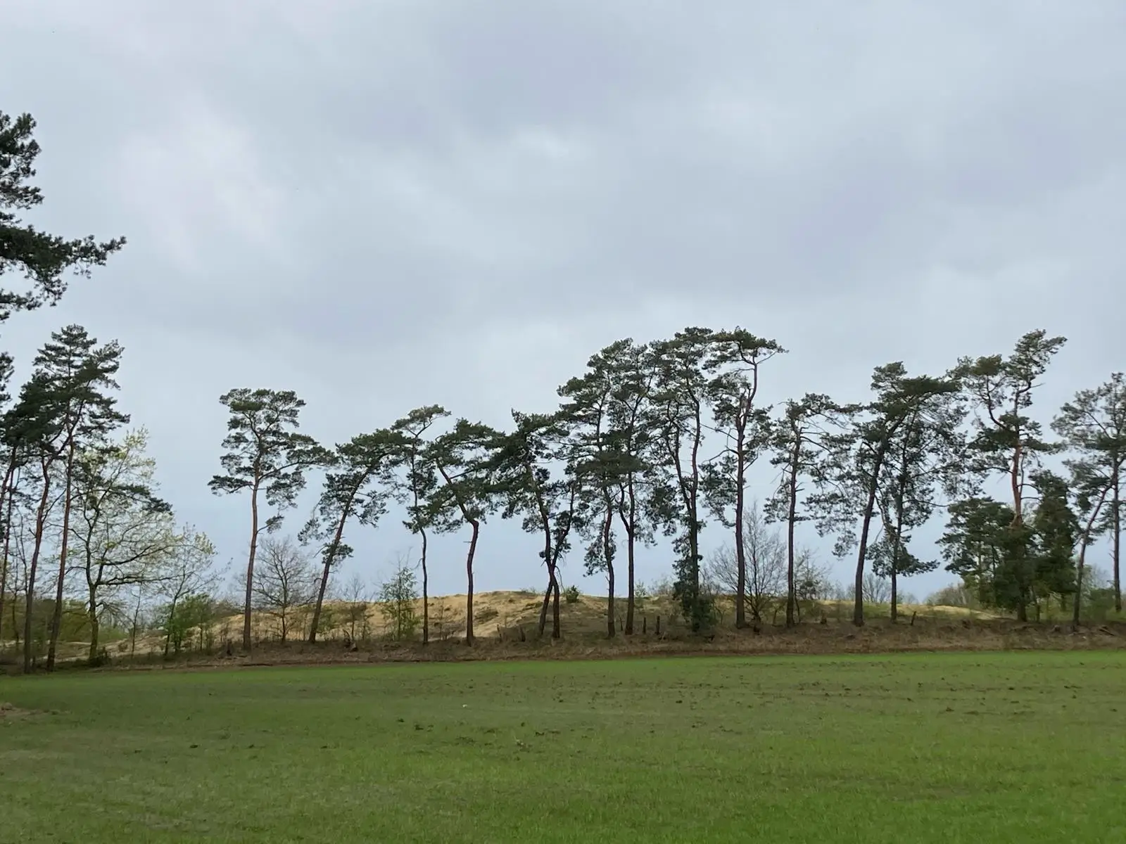 Wandeling afbeelding