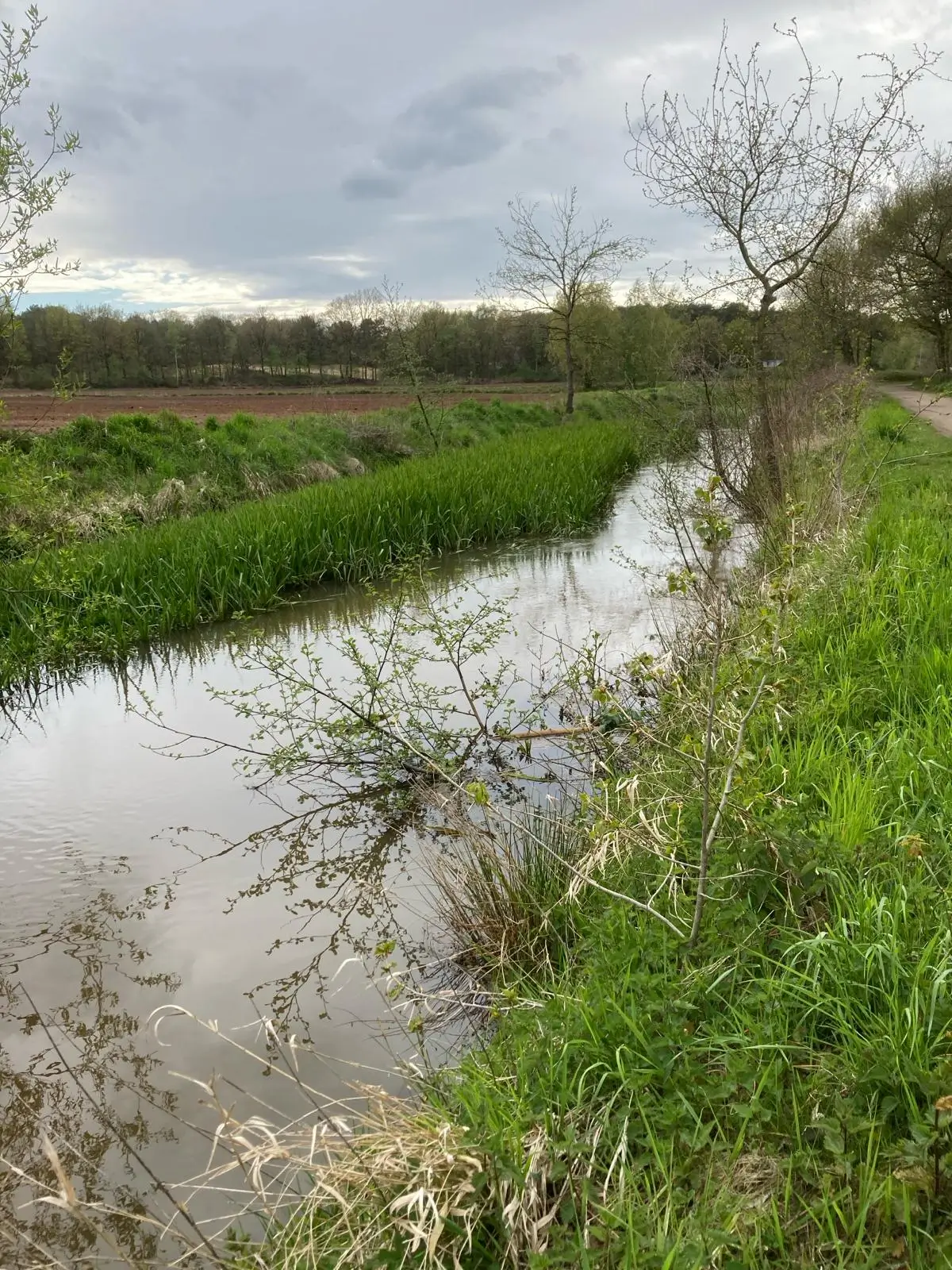 Wandeling afbeelding