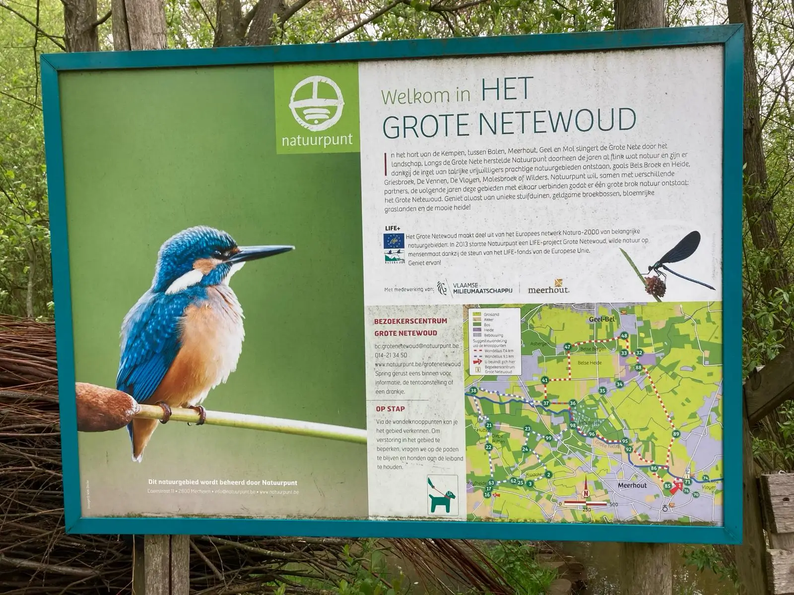 Wandeling afbeelding