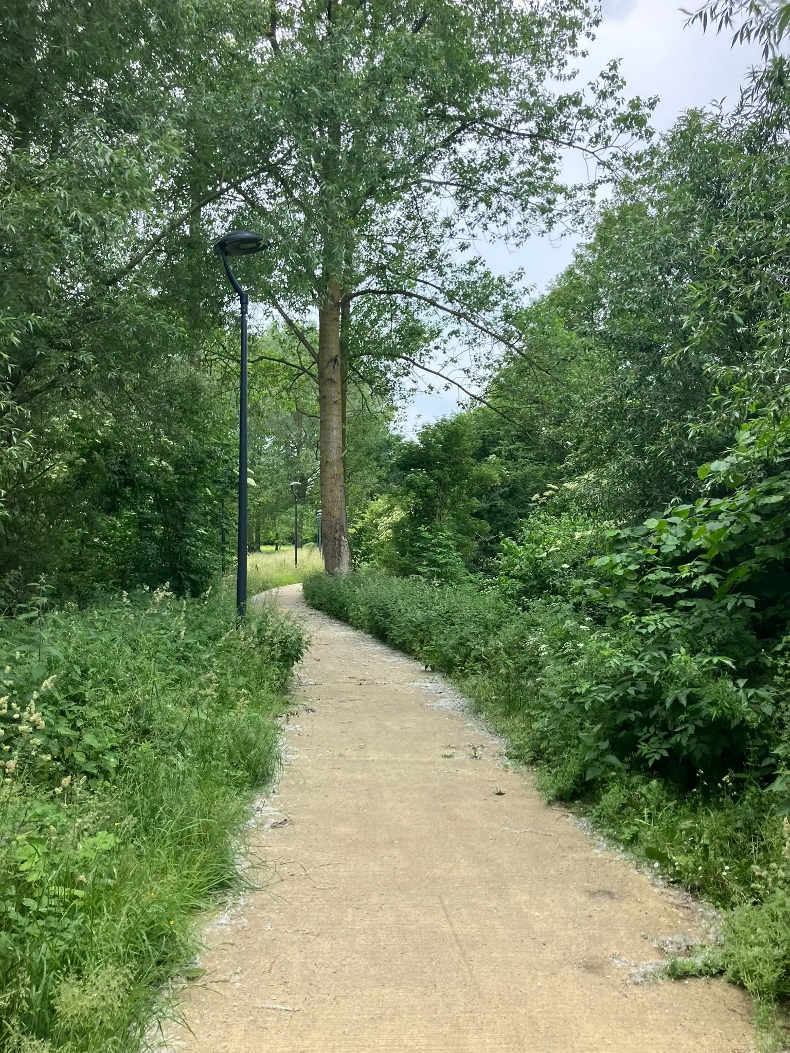 Wandeling afbeelding