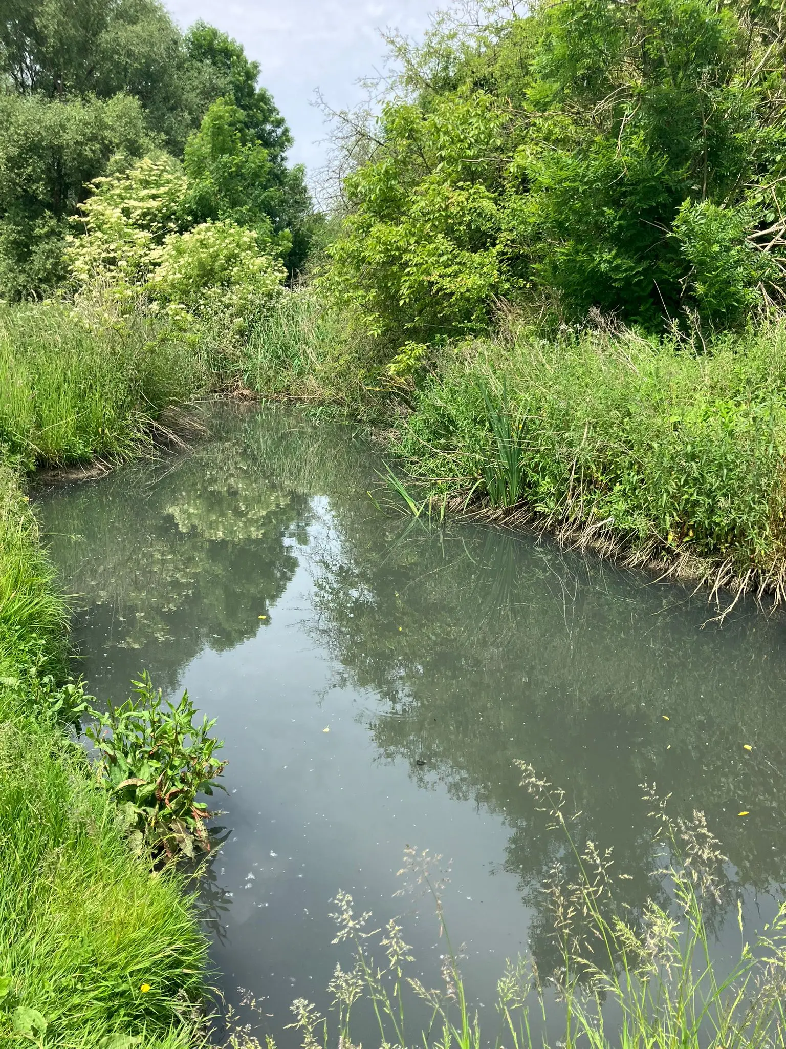 Wandeling afbeelding