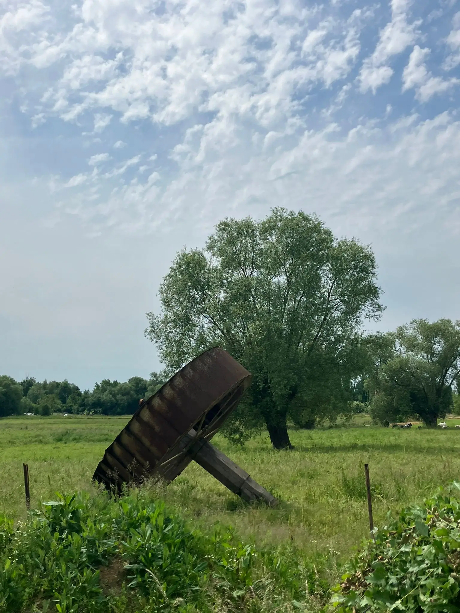 Wandeling afbeelding