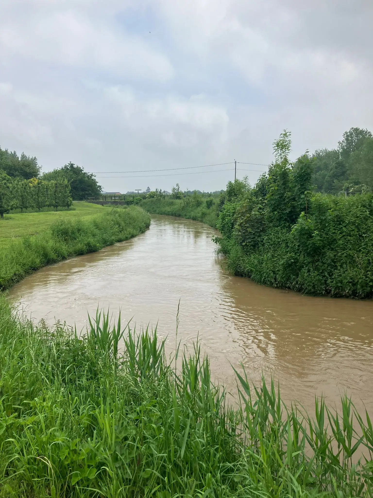 Wandeling afbeelding