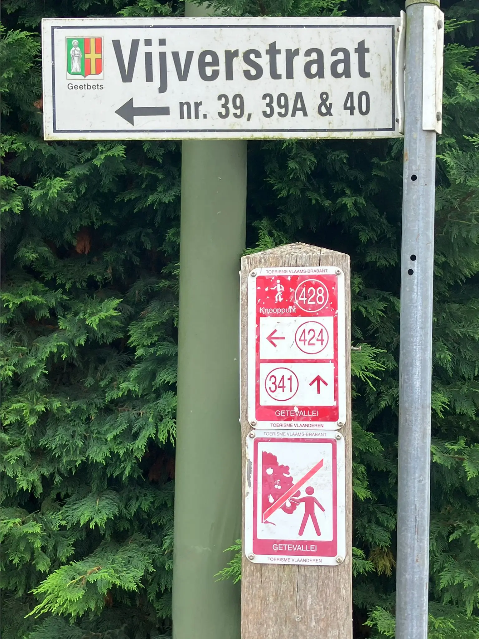 Wandeling afbeelding