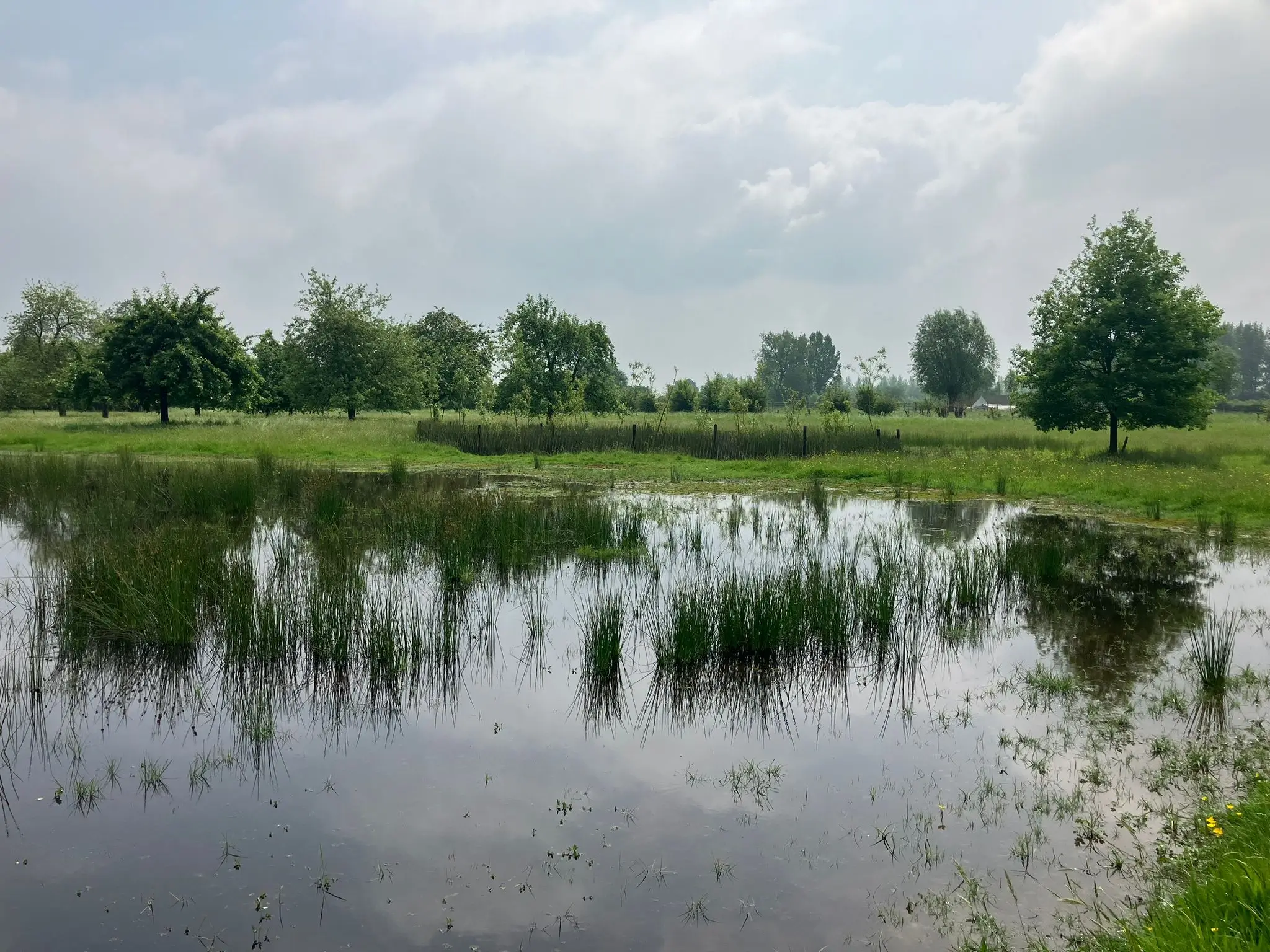 Wandeling afbeelding