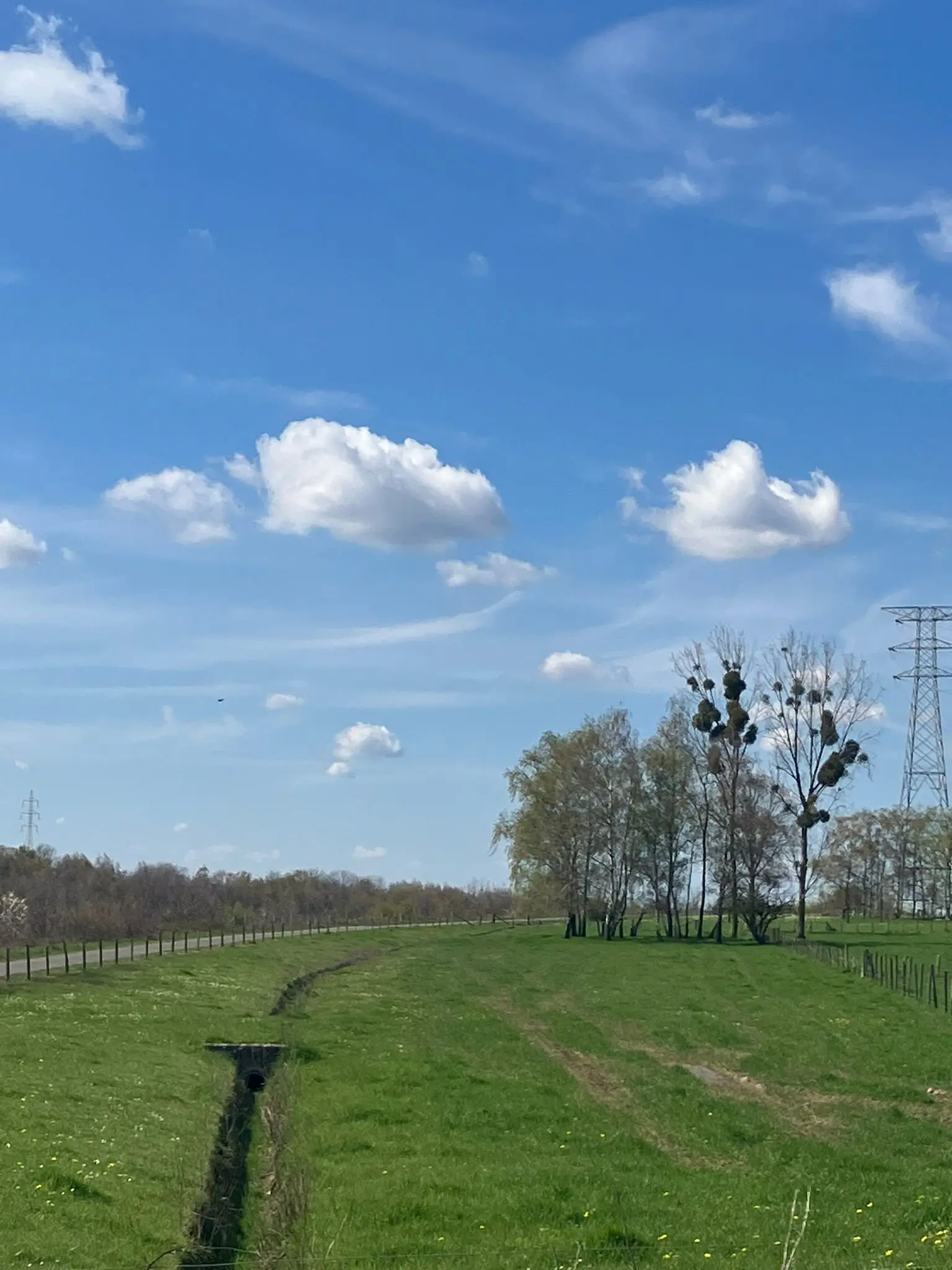 Wandeling afbeelding