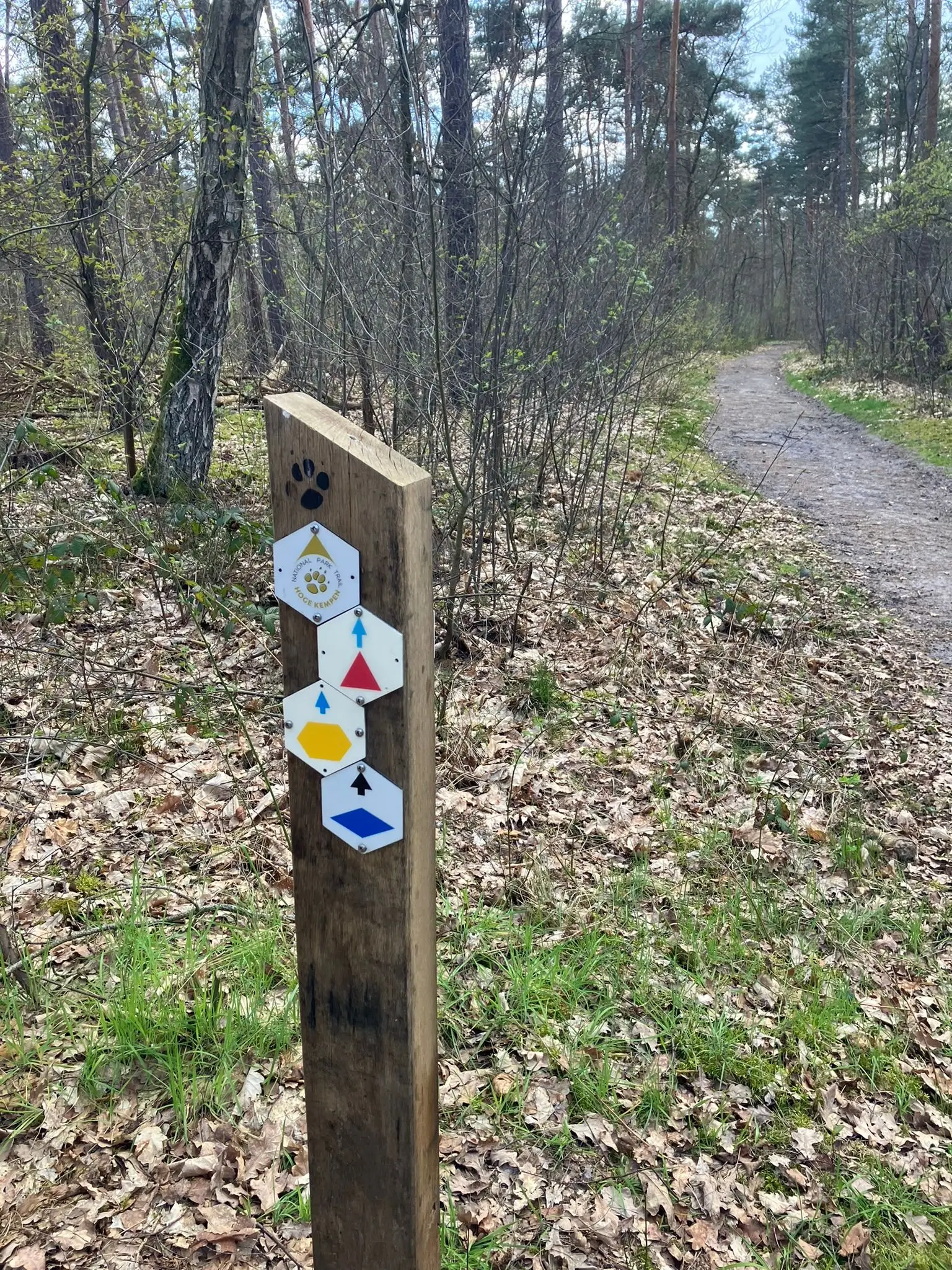 Wandeling afbeelding