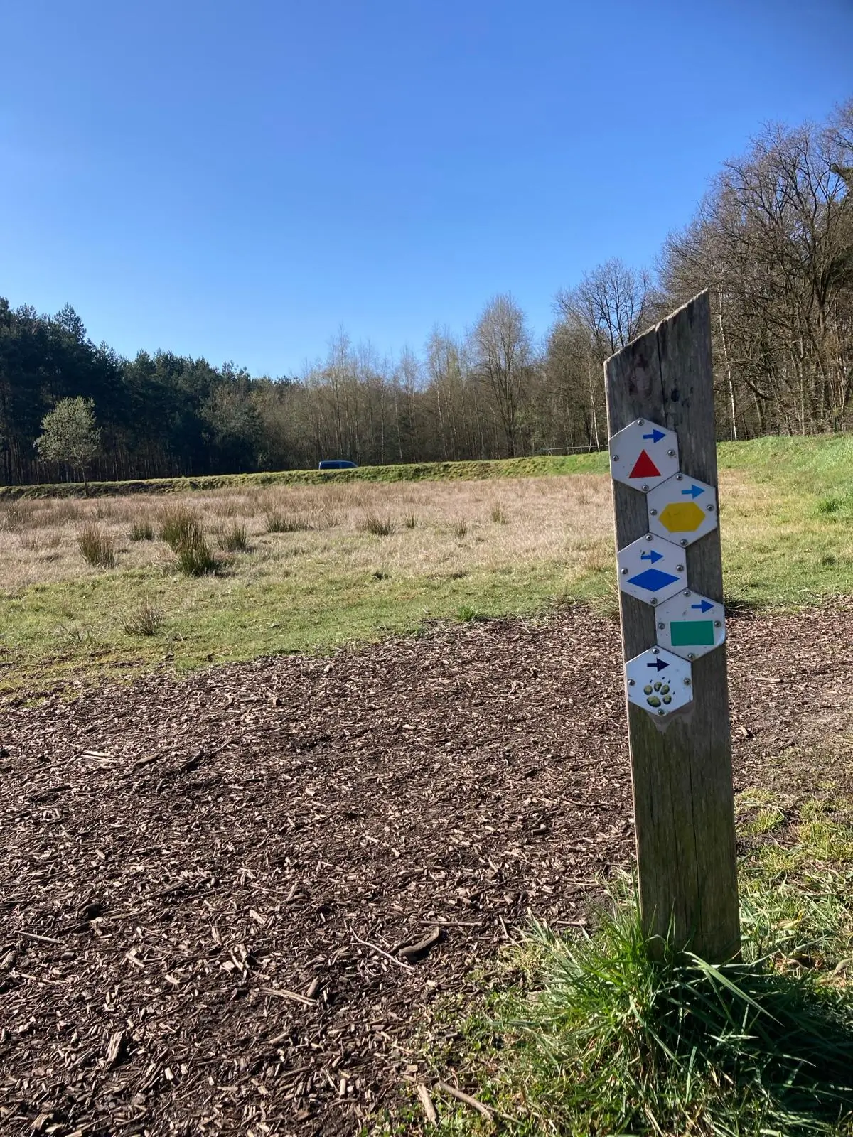 Wandeling afbeelding
