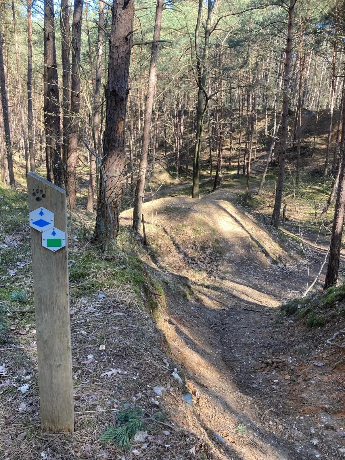 Wandeling afbeelding