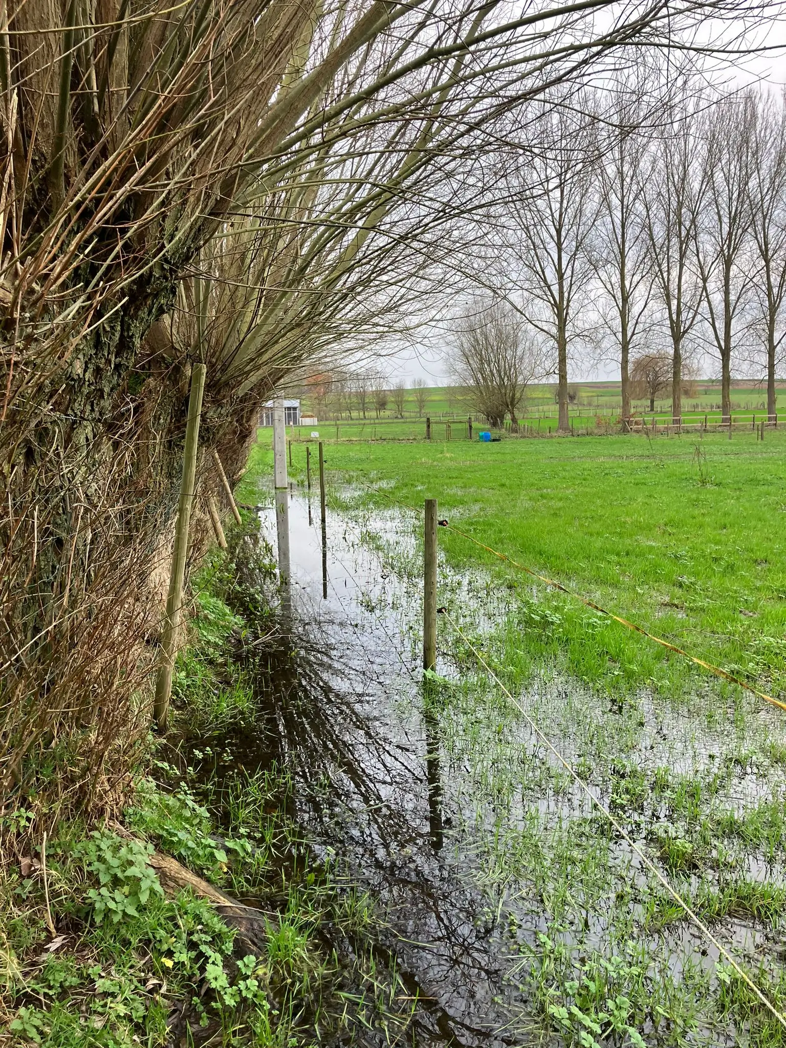 Wandeling afbeelding