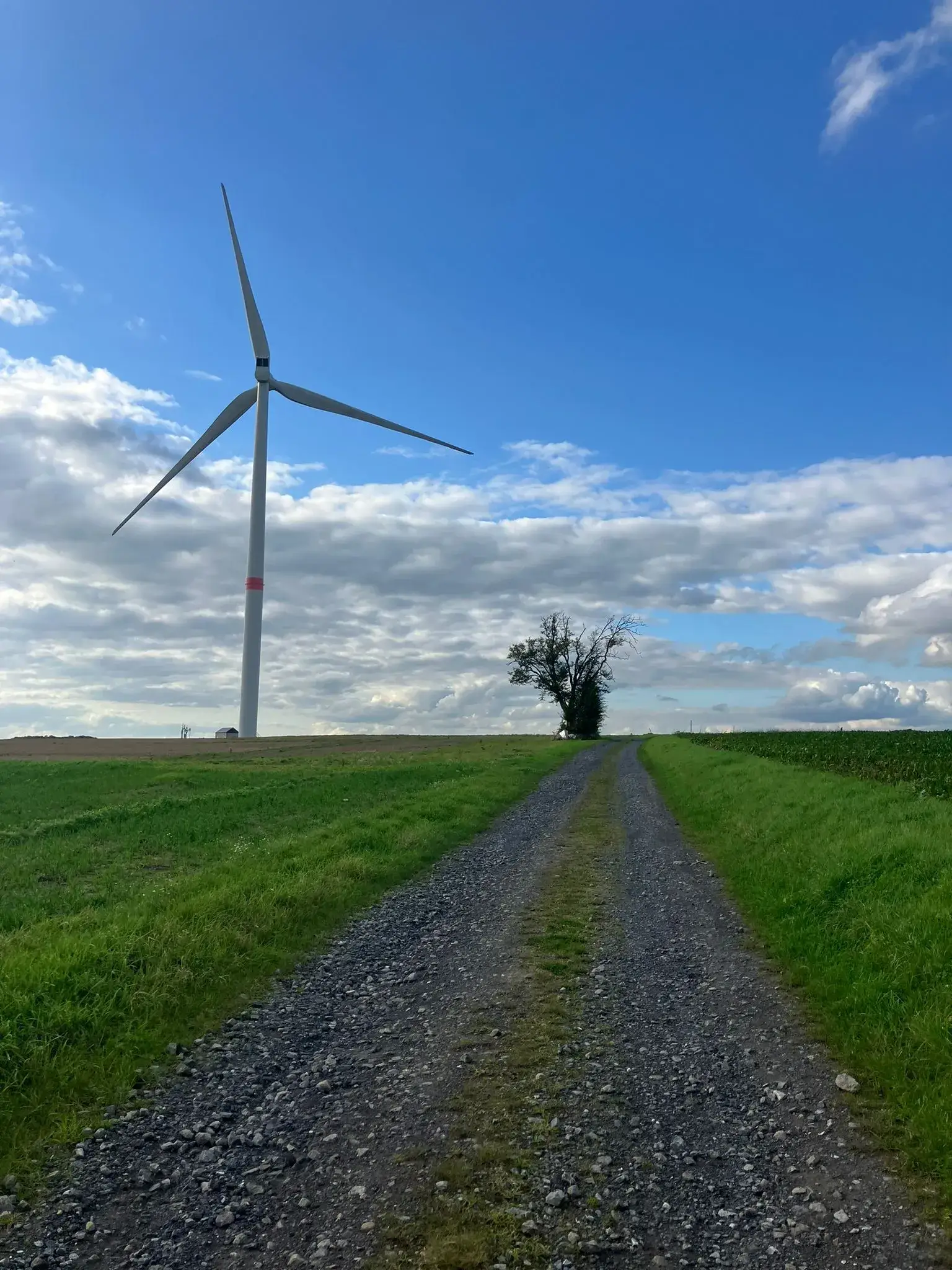 Wandeling afbeelding