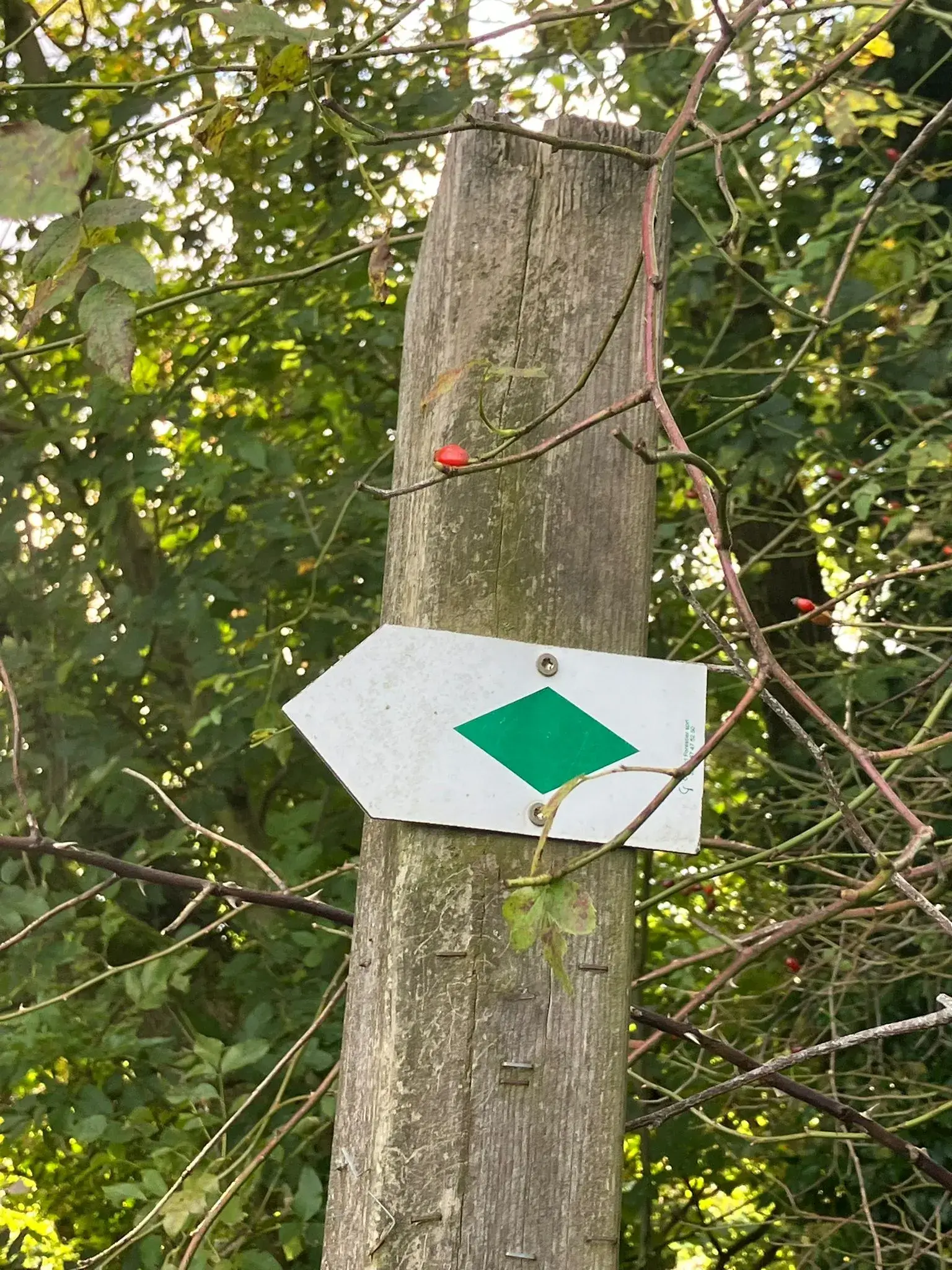 Wandeling afbeelding