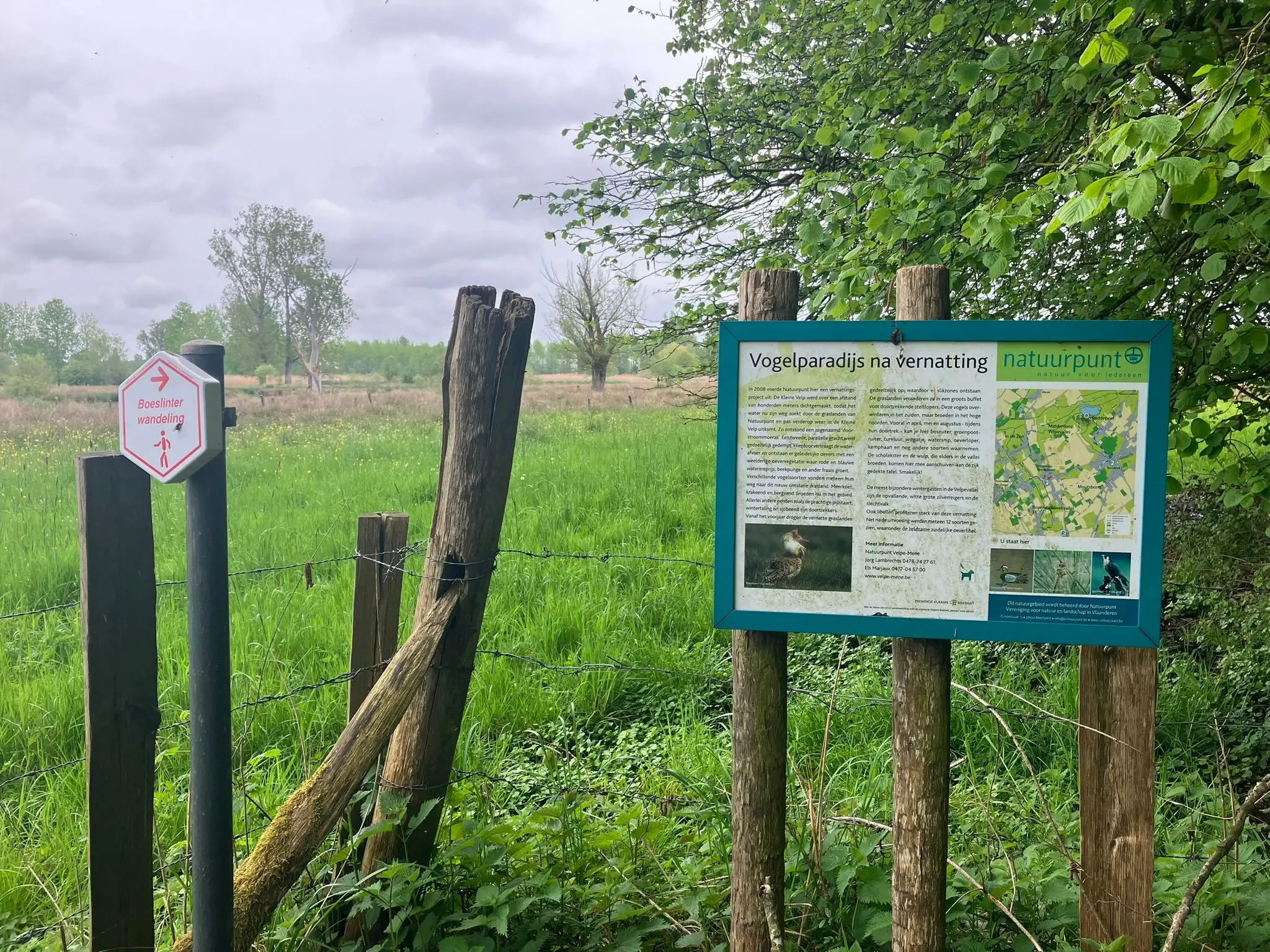 Wandeling afbeelding