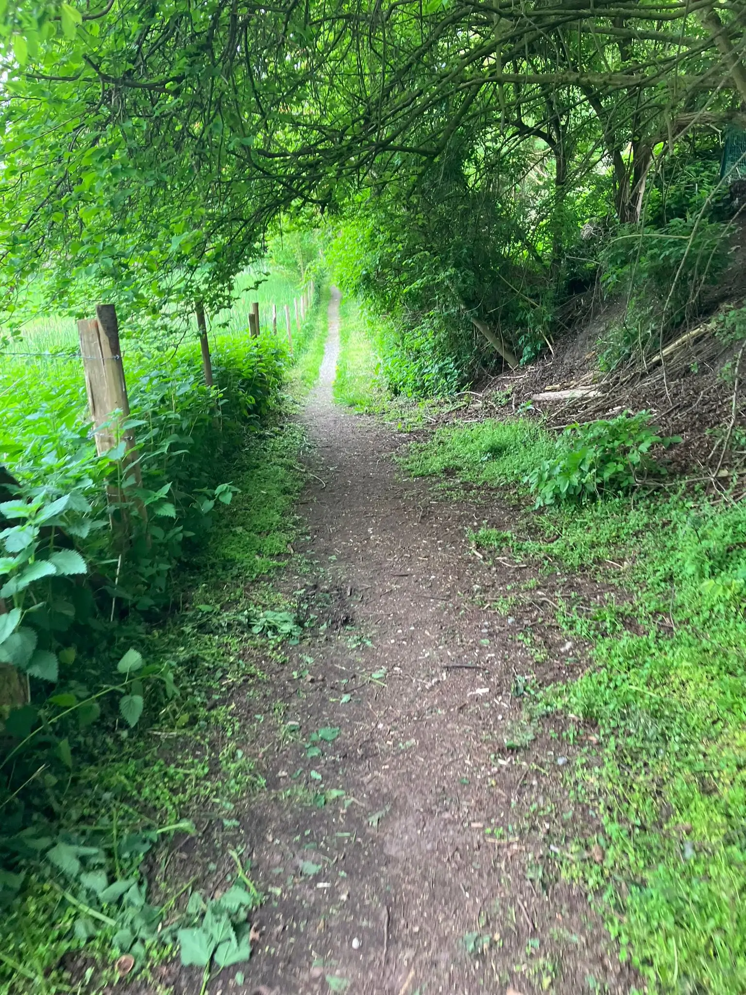 Wandeling afbeelding