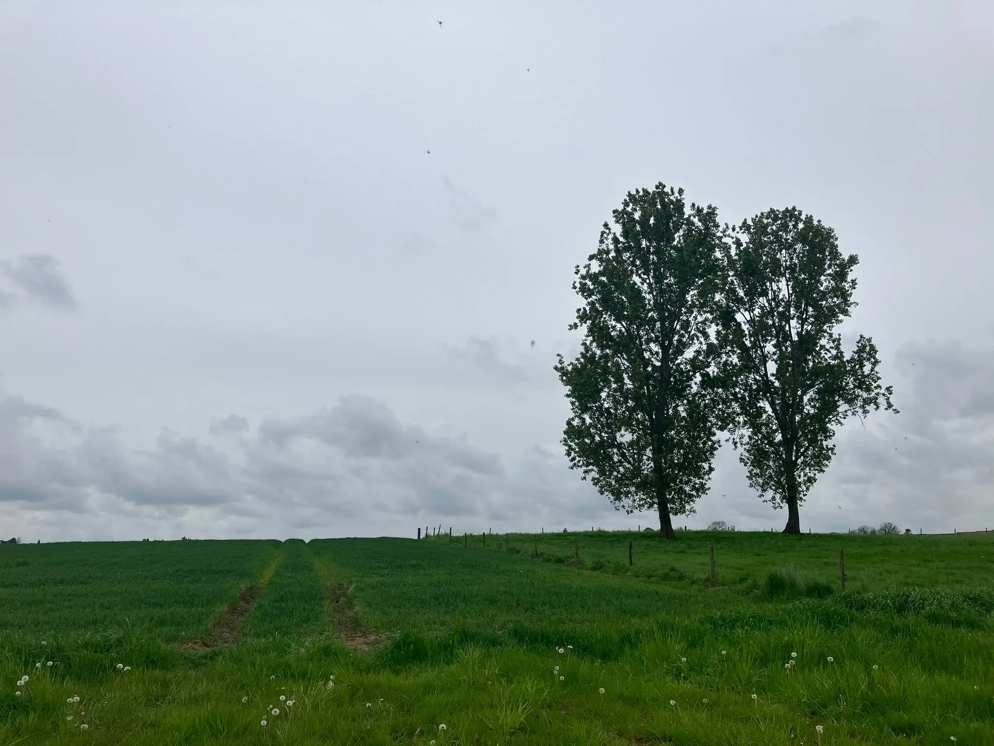 Wandeling afbeelding