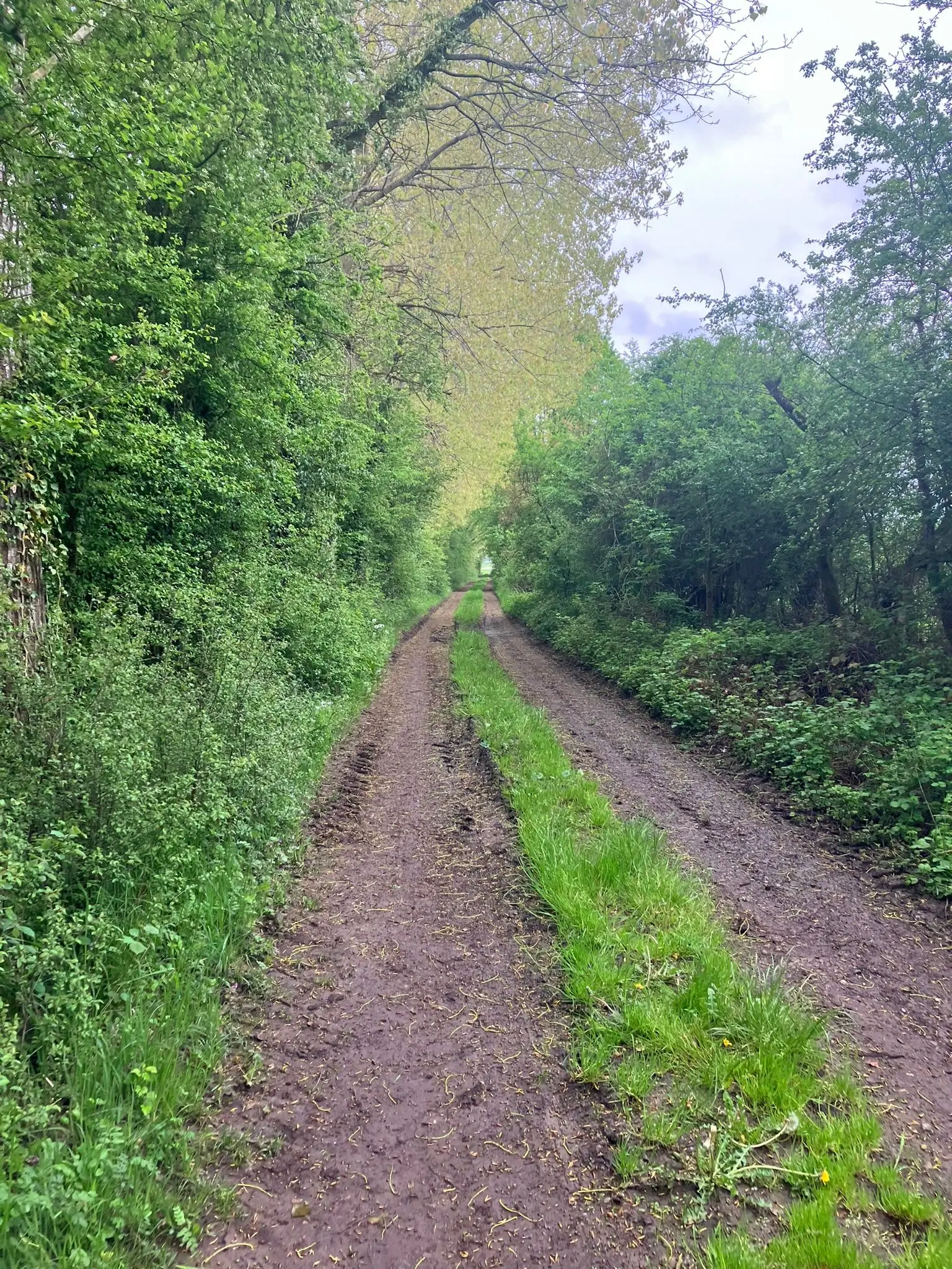 Wandeling afbeelding