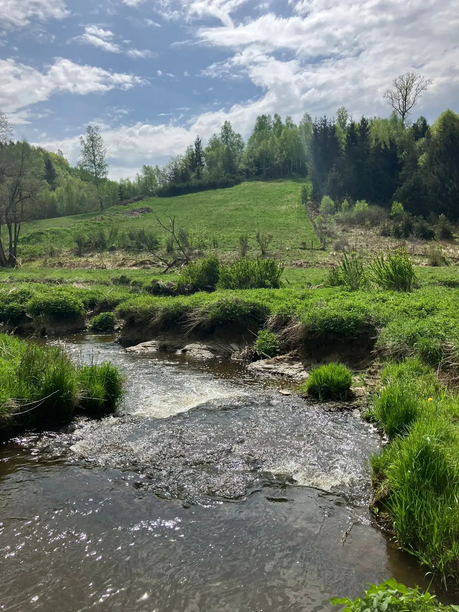 Wandeling afbeelding