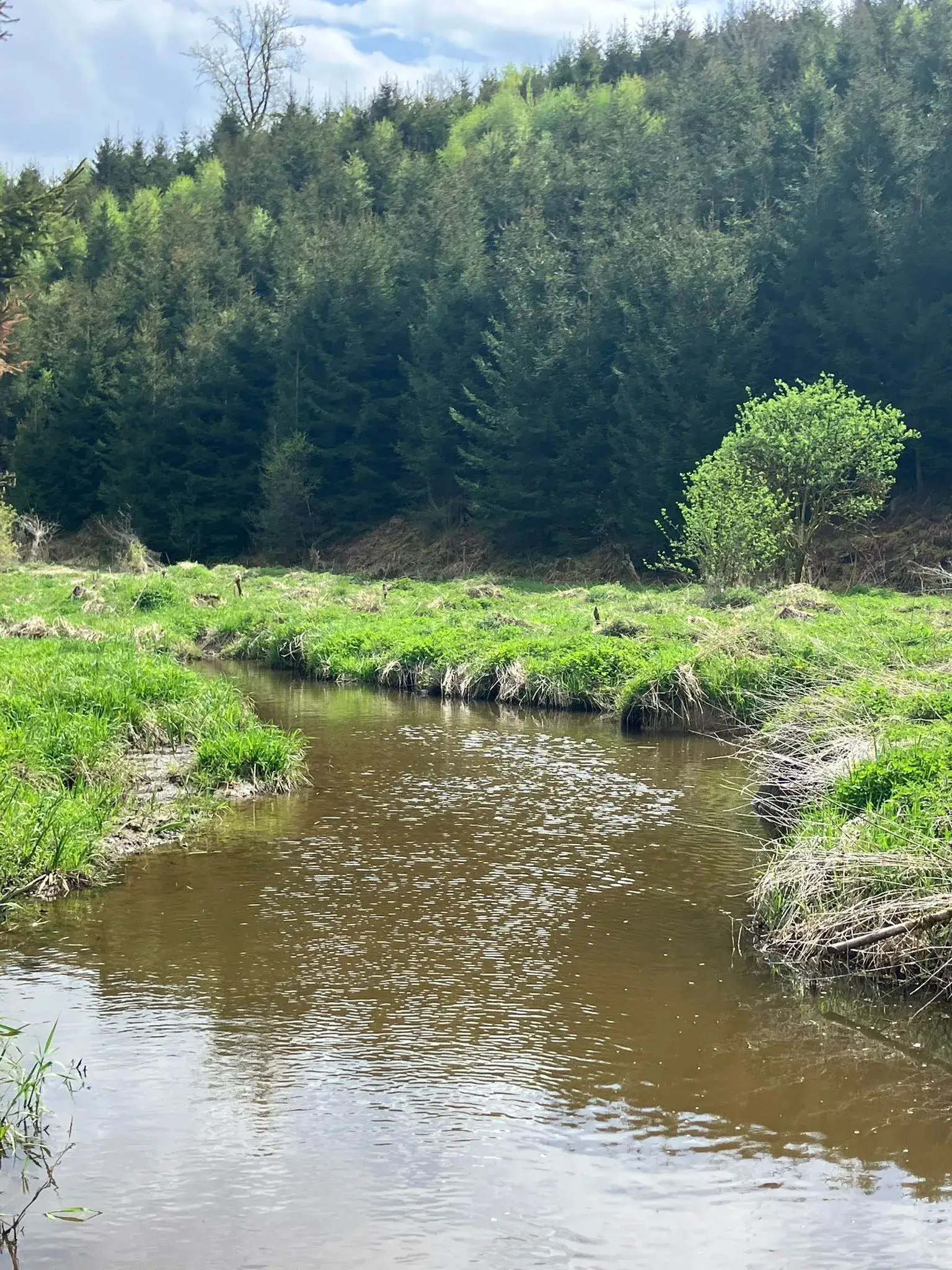 Wandeling afbeelding