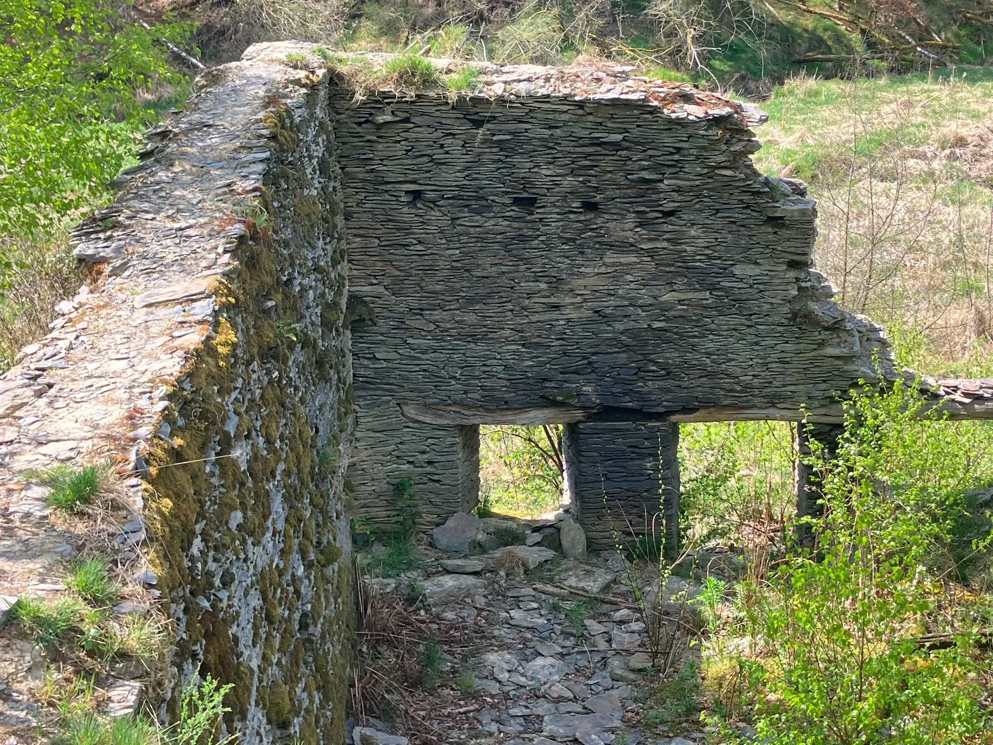 Wandeling afbeelding