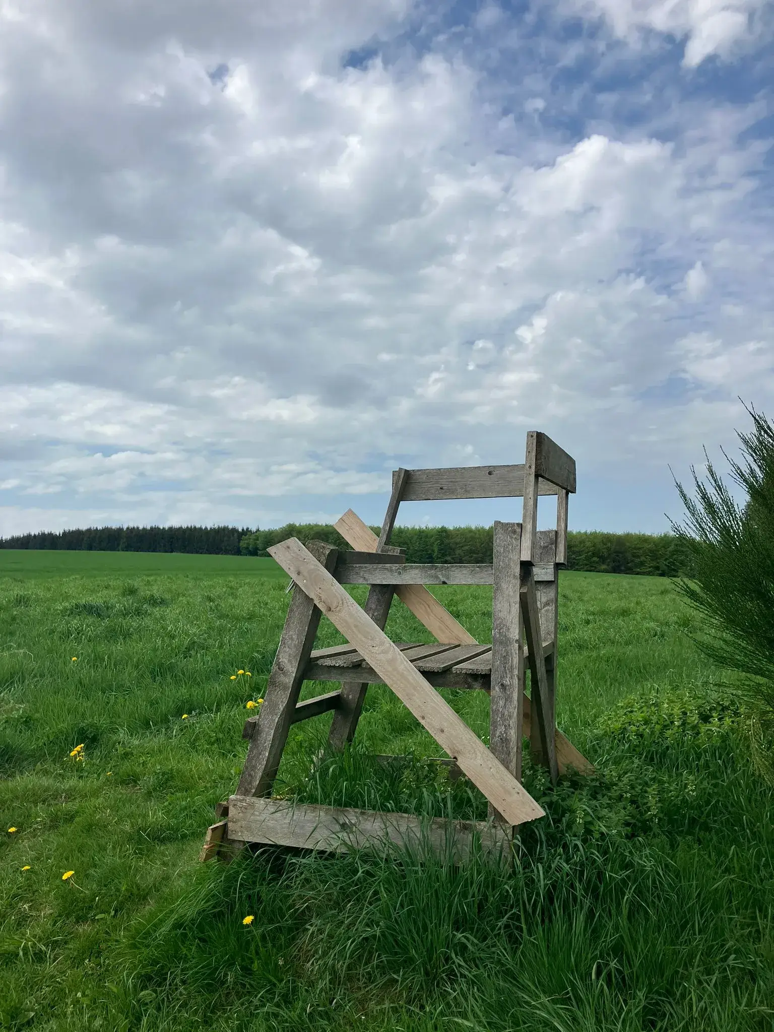 Wandeling afbeelding