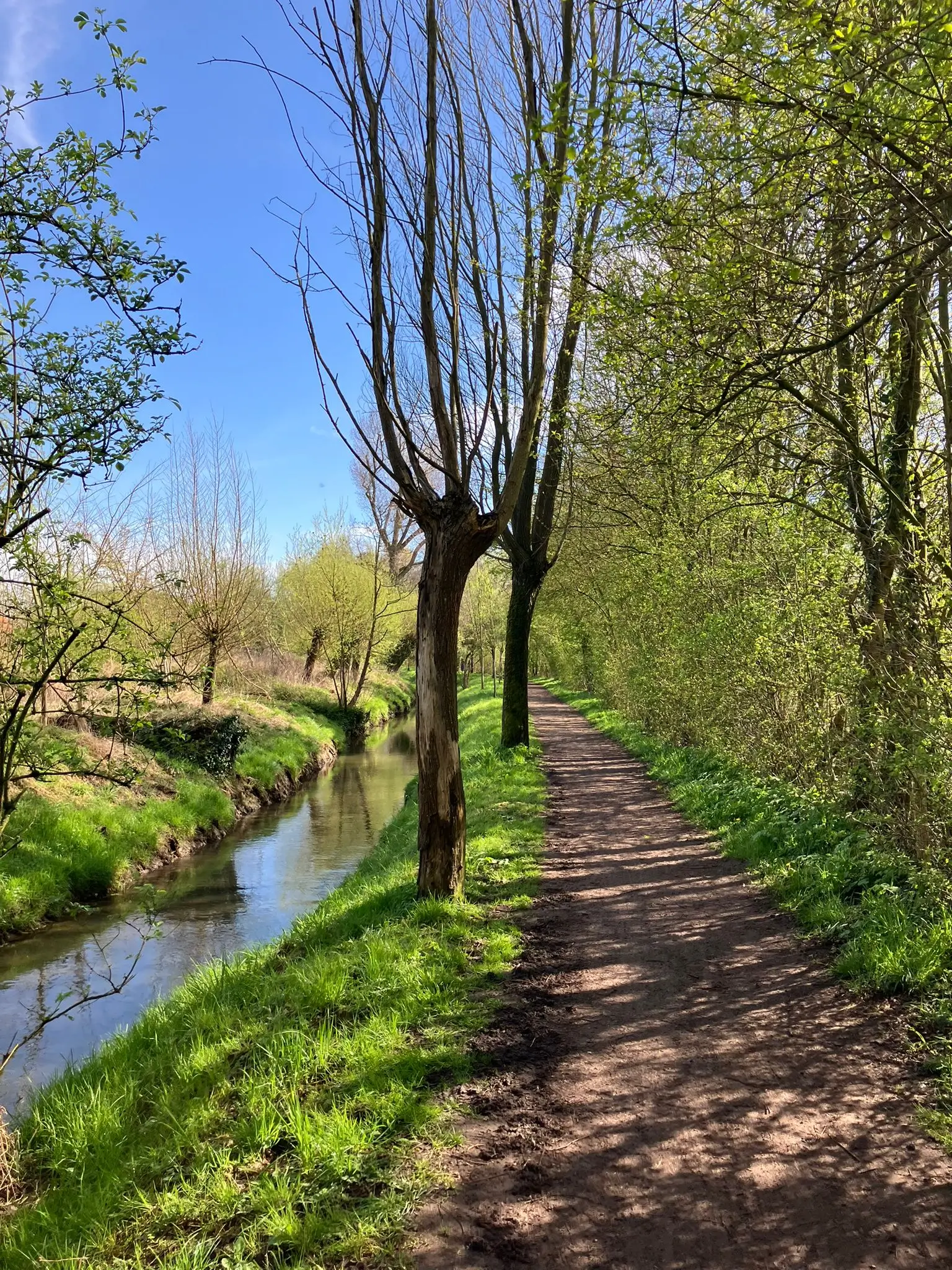 Wandeling afbeelding