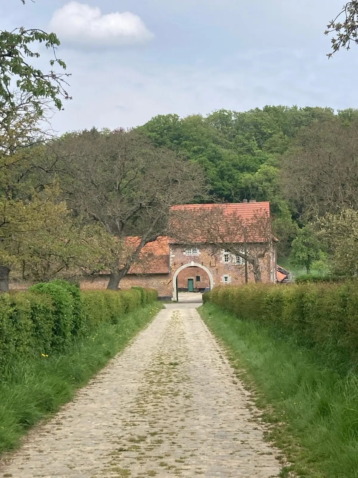 Wandeling afbeelding