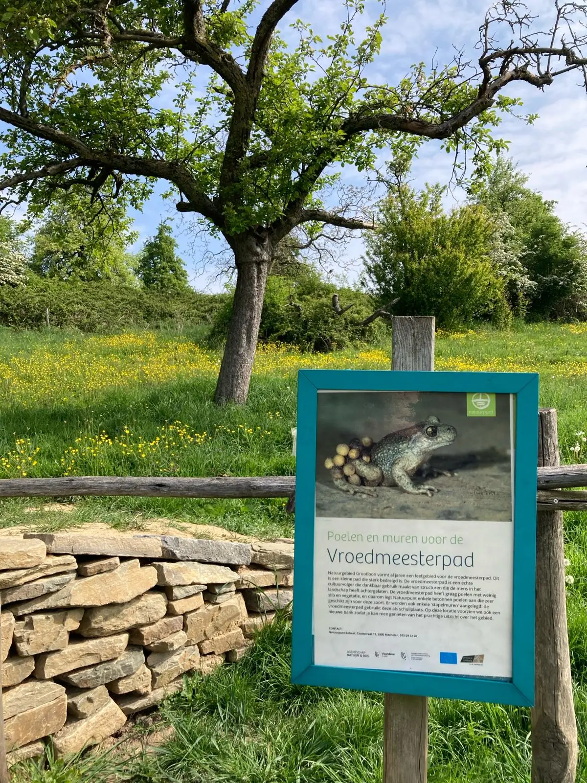 Wandeling afbeelding