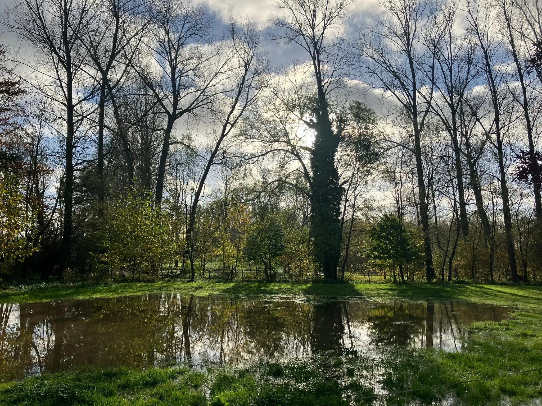 Wandeling afbeelding