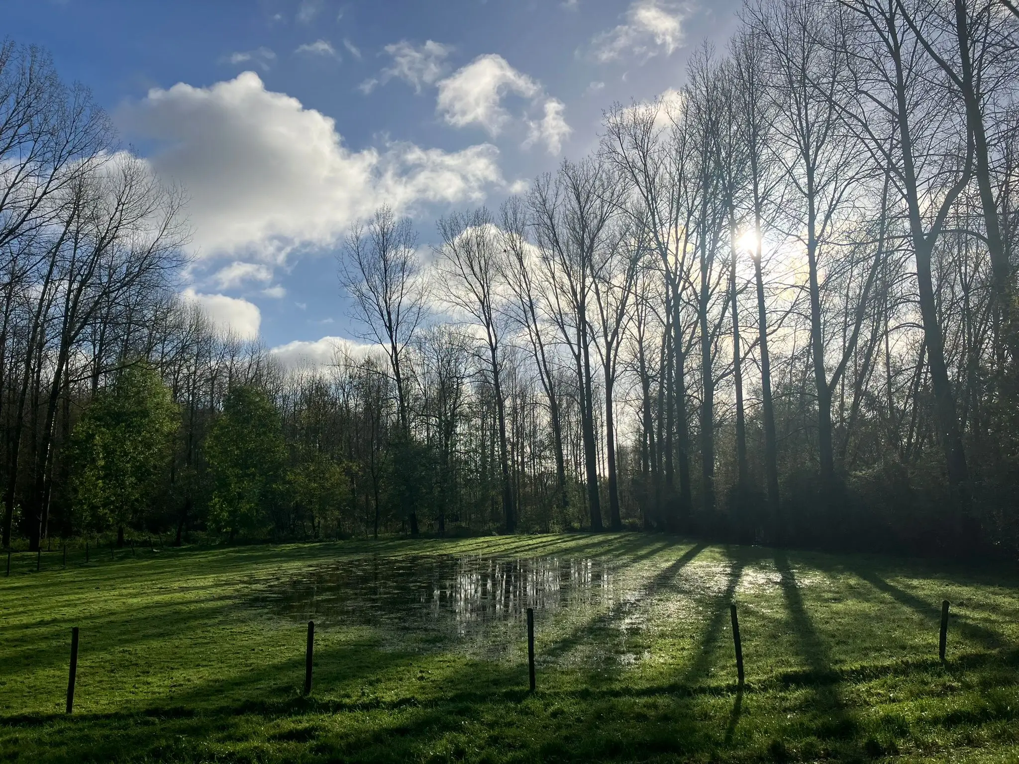Wandeling afbeelding