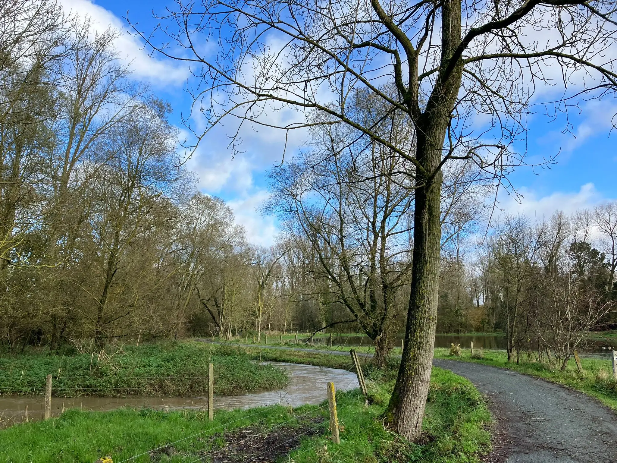Wandeling afbeelding
