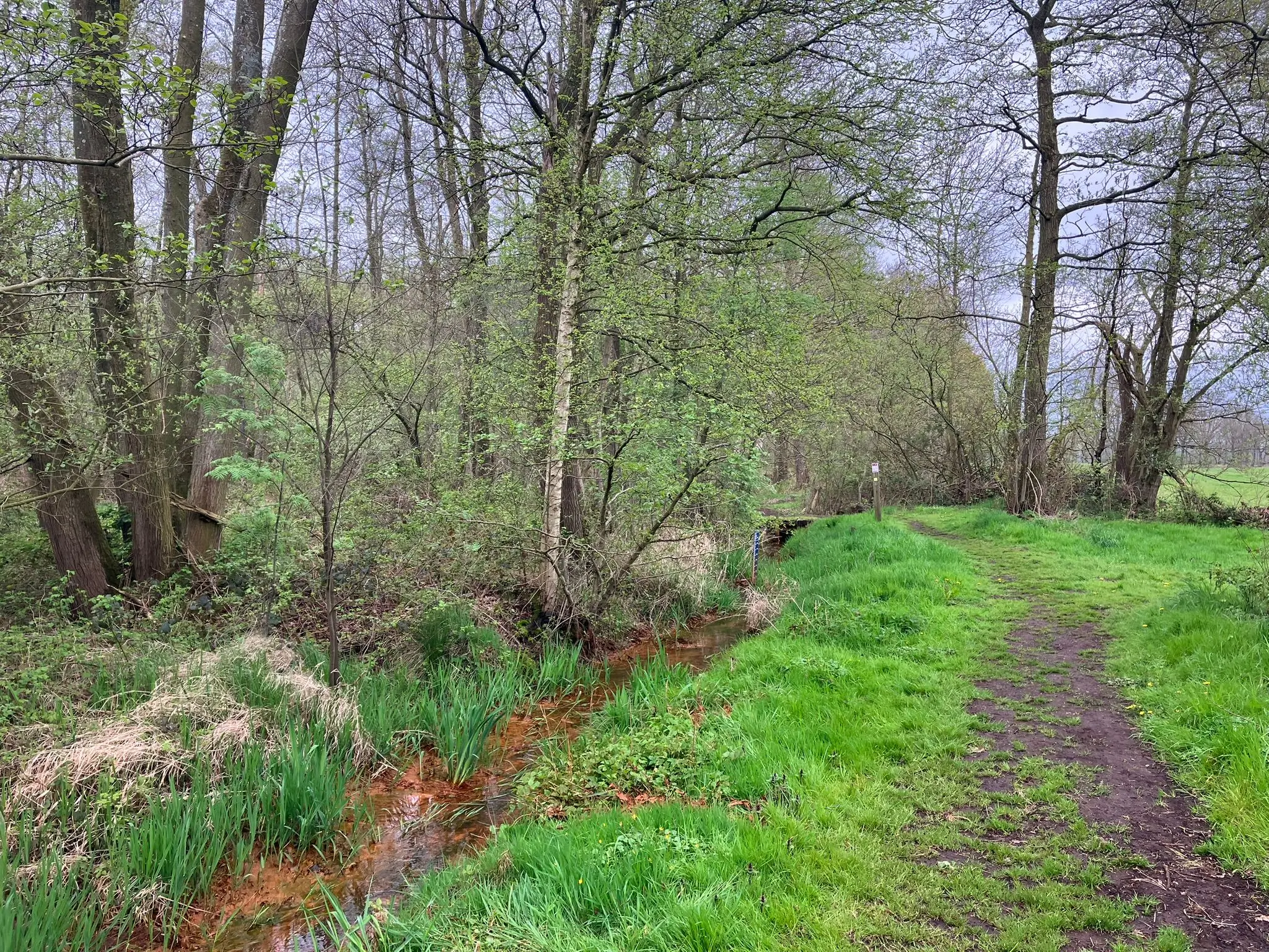 Wandeling afbeelding
