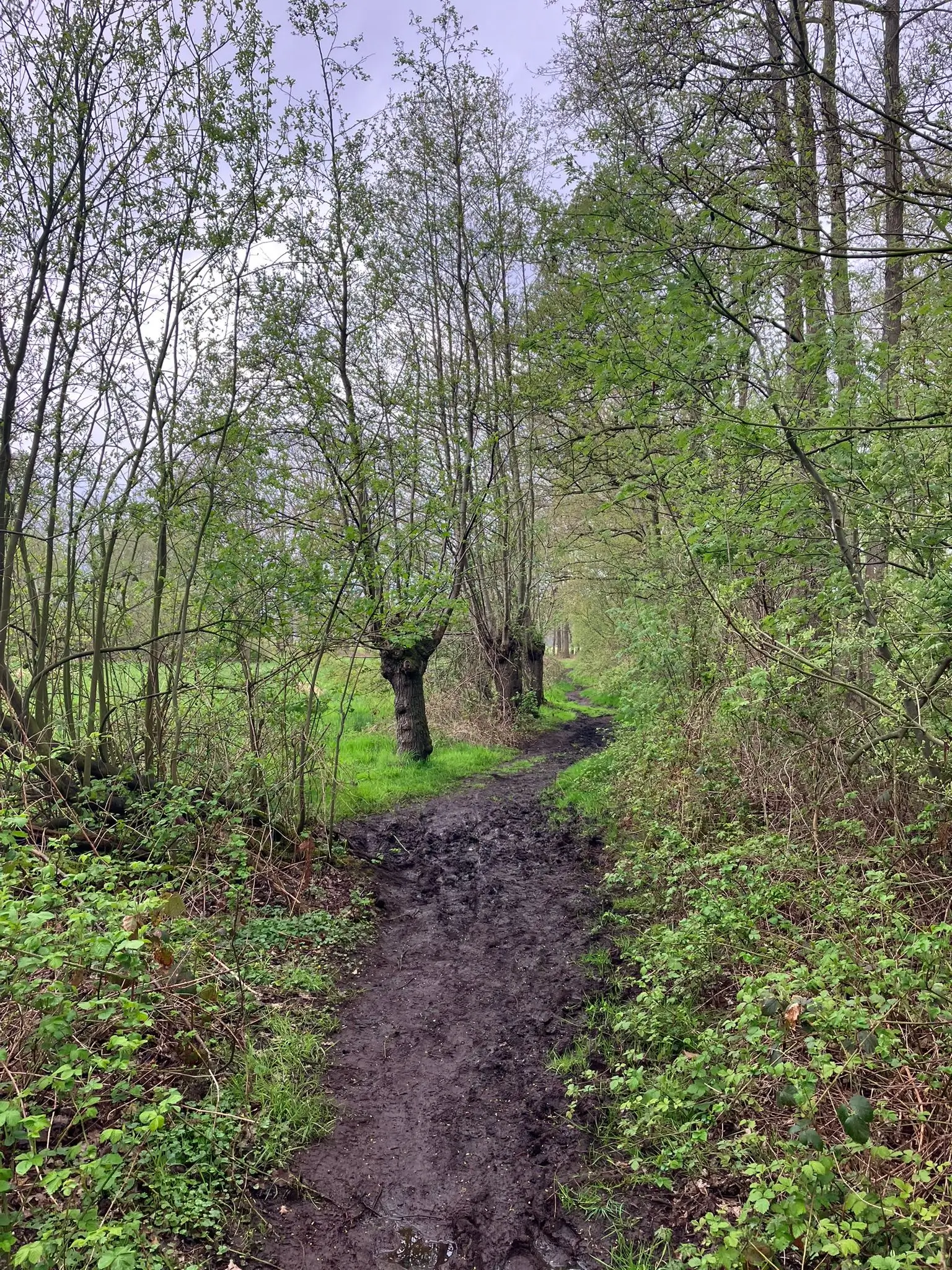 Wandeling afbeelding